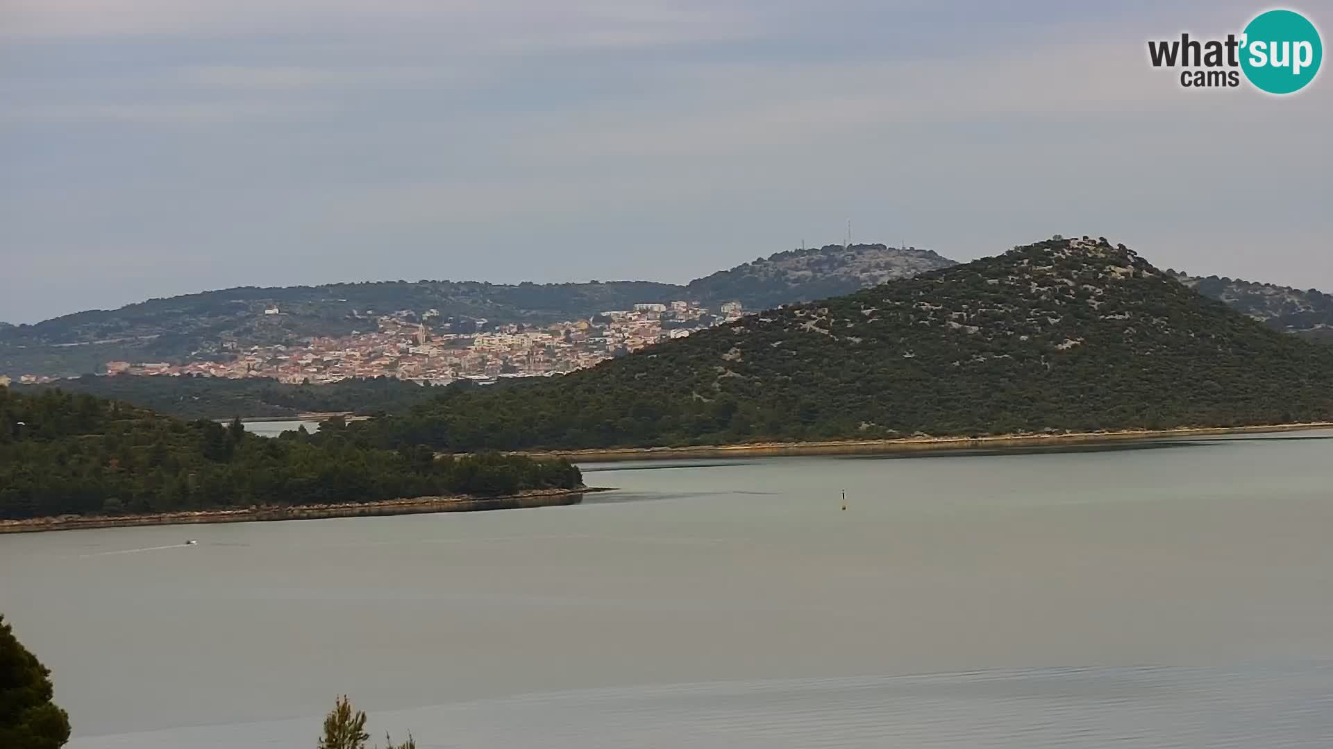 Camera en vivo Drage Croacia