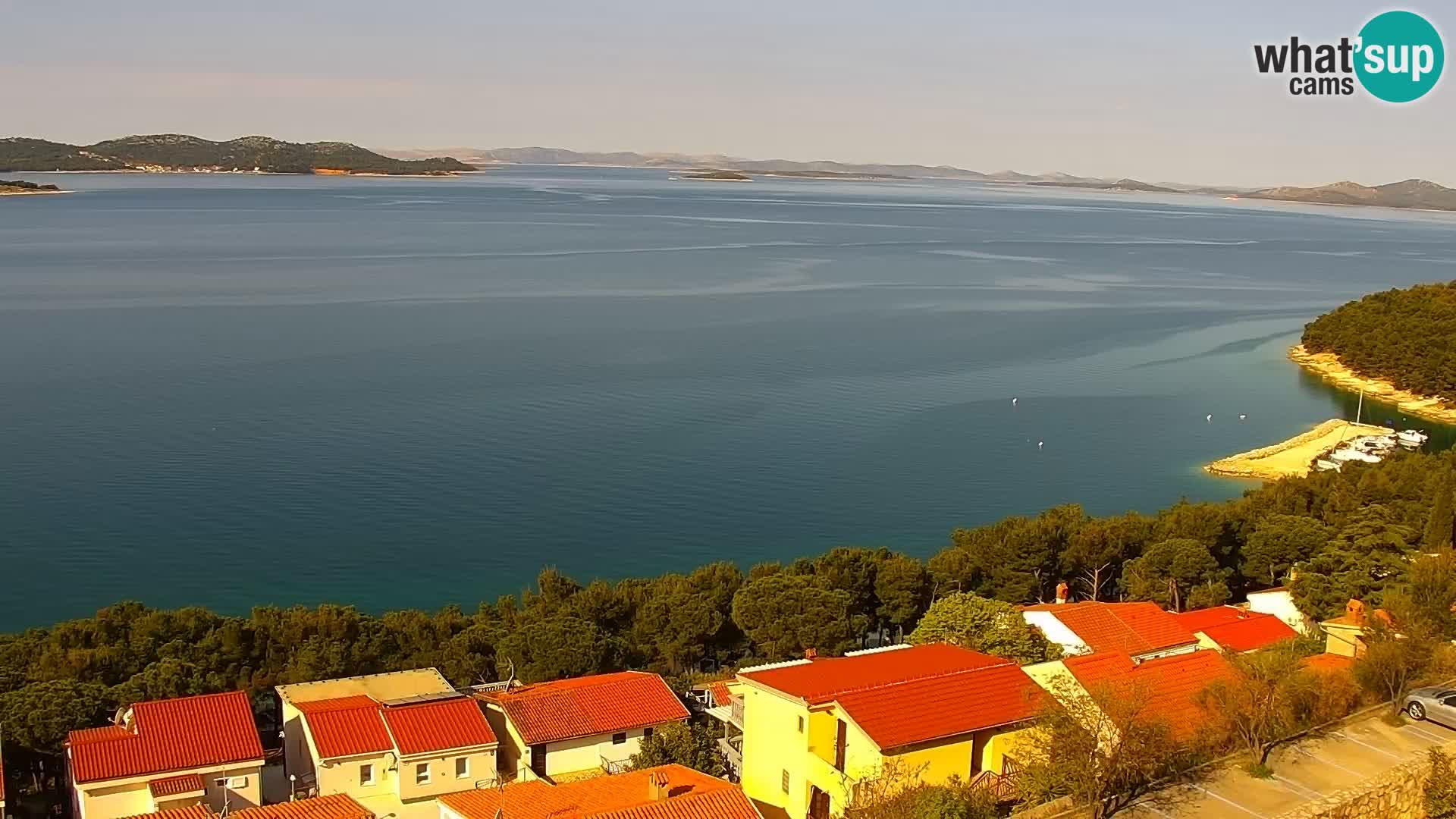 Camera en vivo Drage Croacia