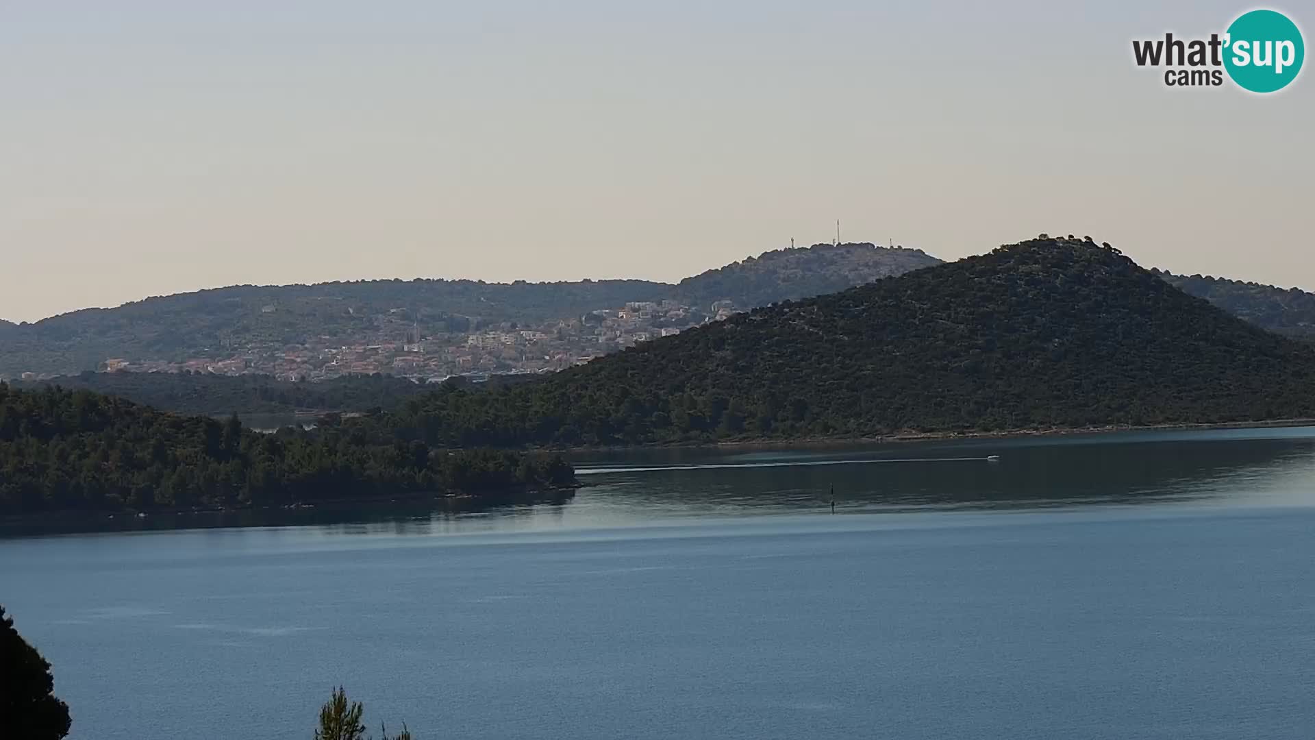 Camera en vivo Drage Croacia