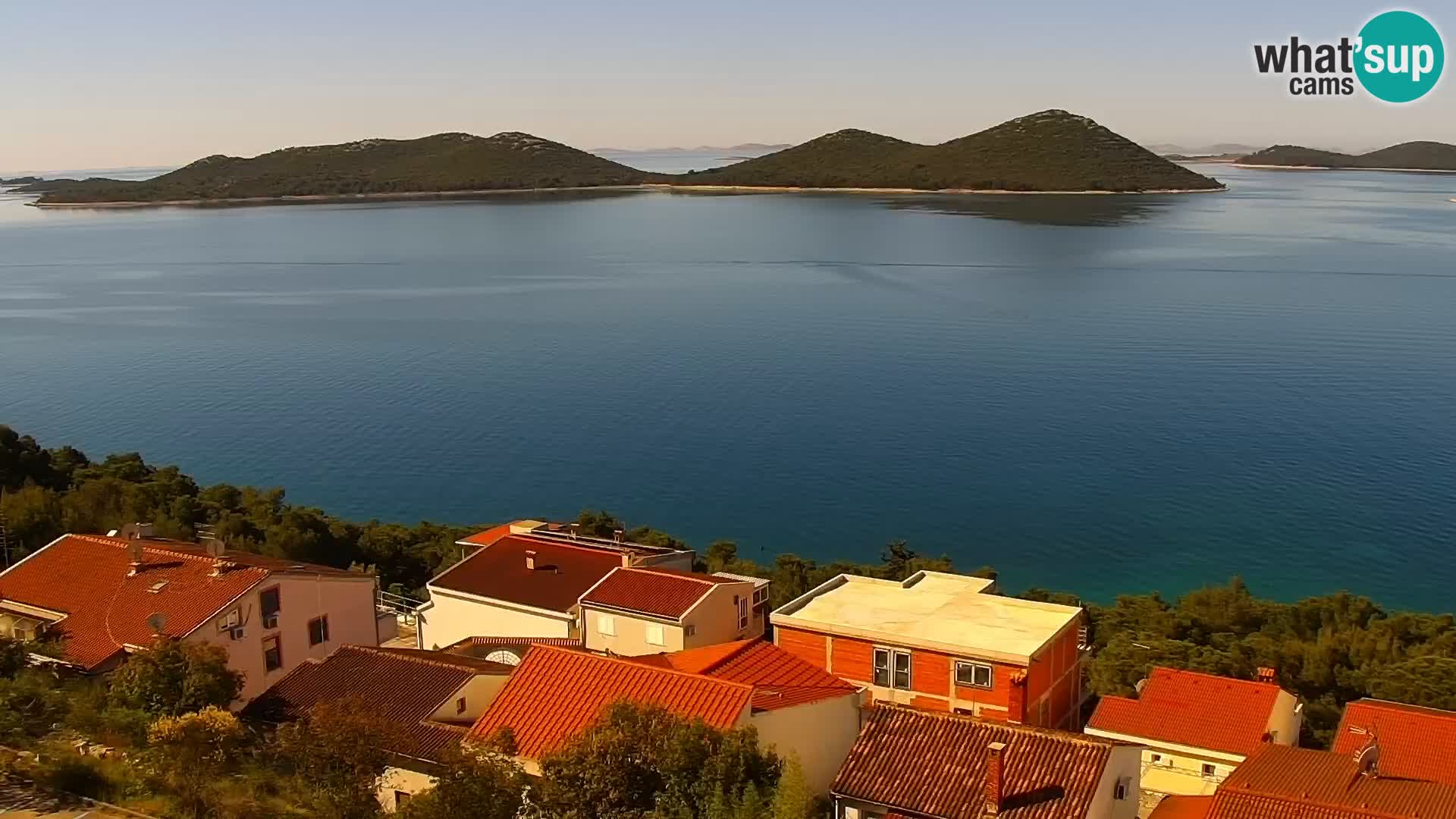 Camera en vivo Drage Croacia