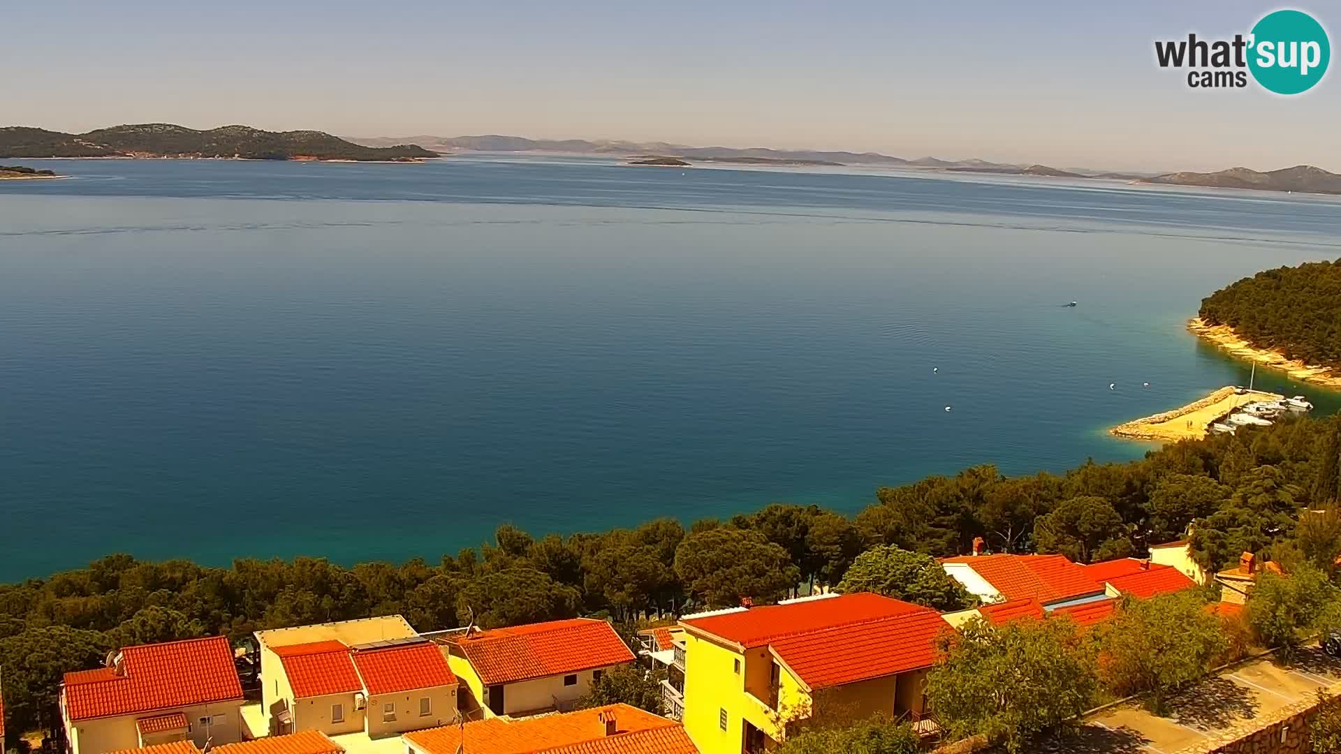 Camera en vivo Drage – Triple “P”