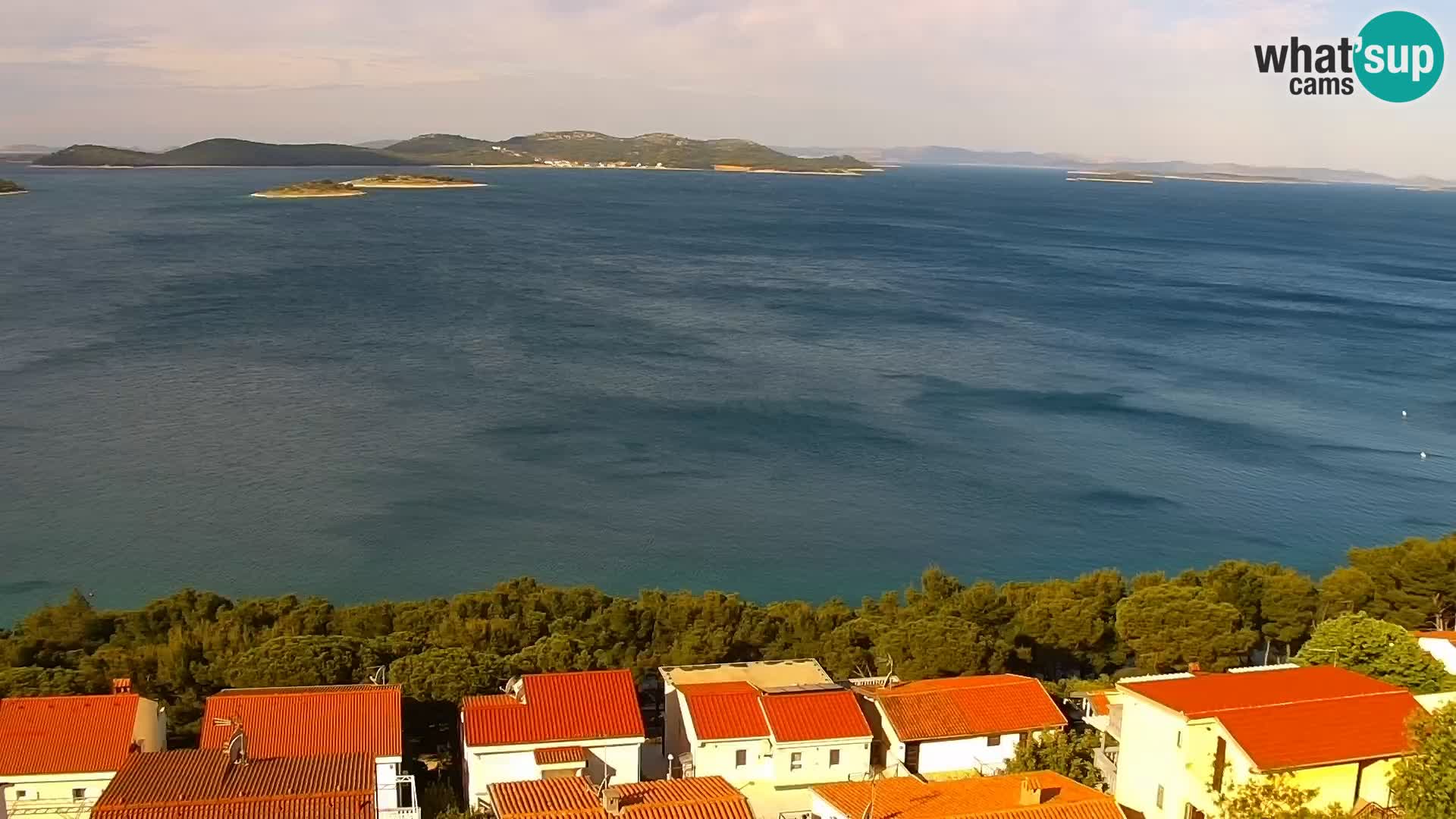 Live webcam Drage view – Triple “P”