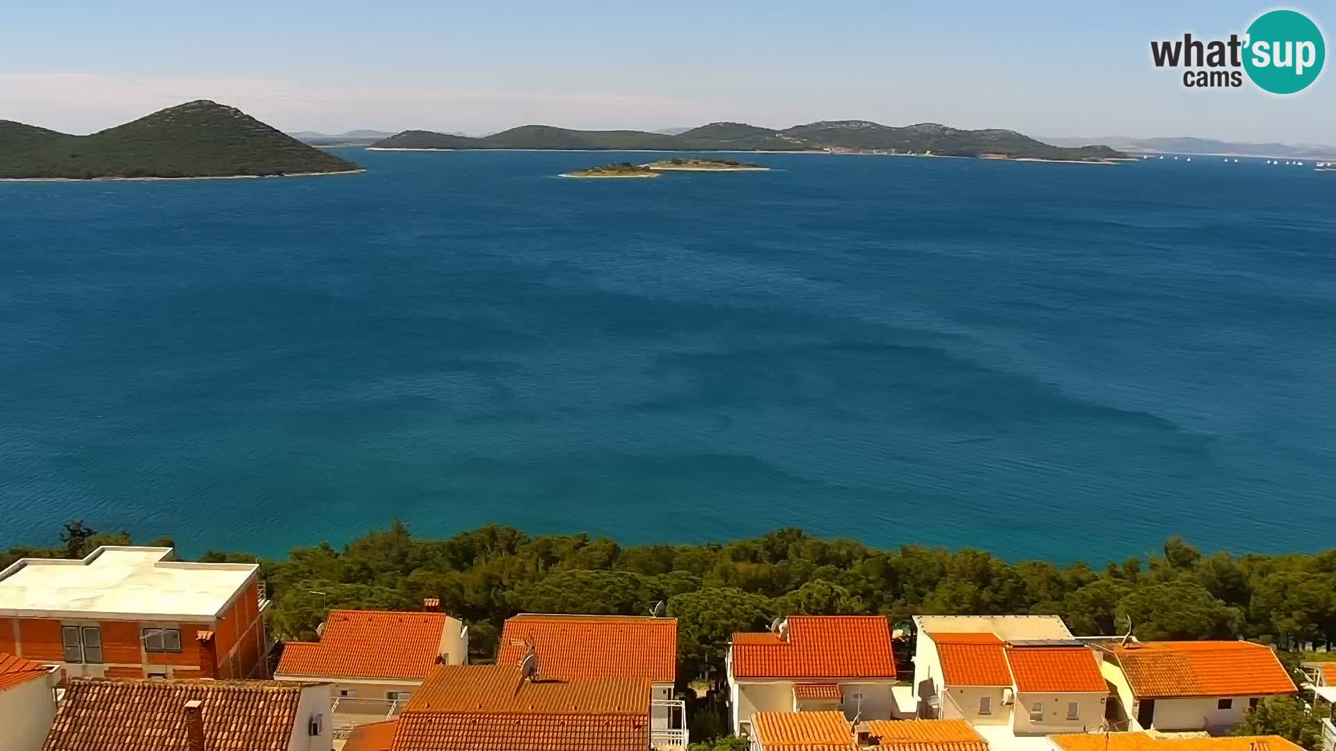 Camera en vivo Drage Croacia