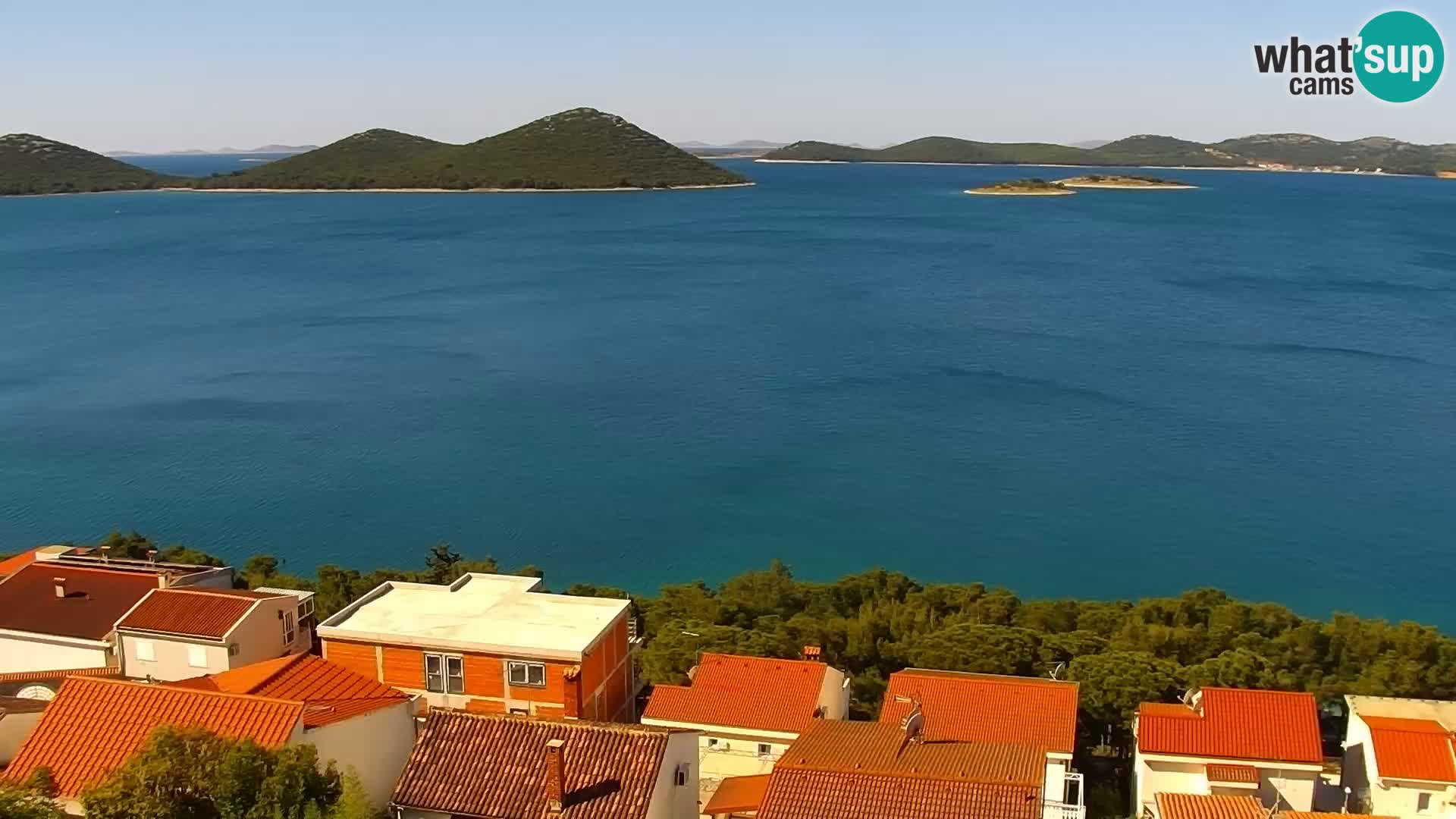 Camera en vivo Drage Croacia