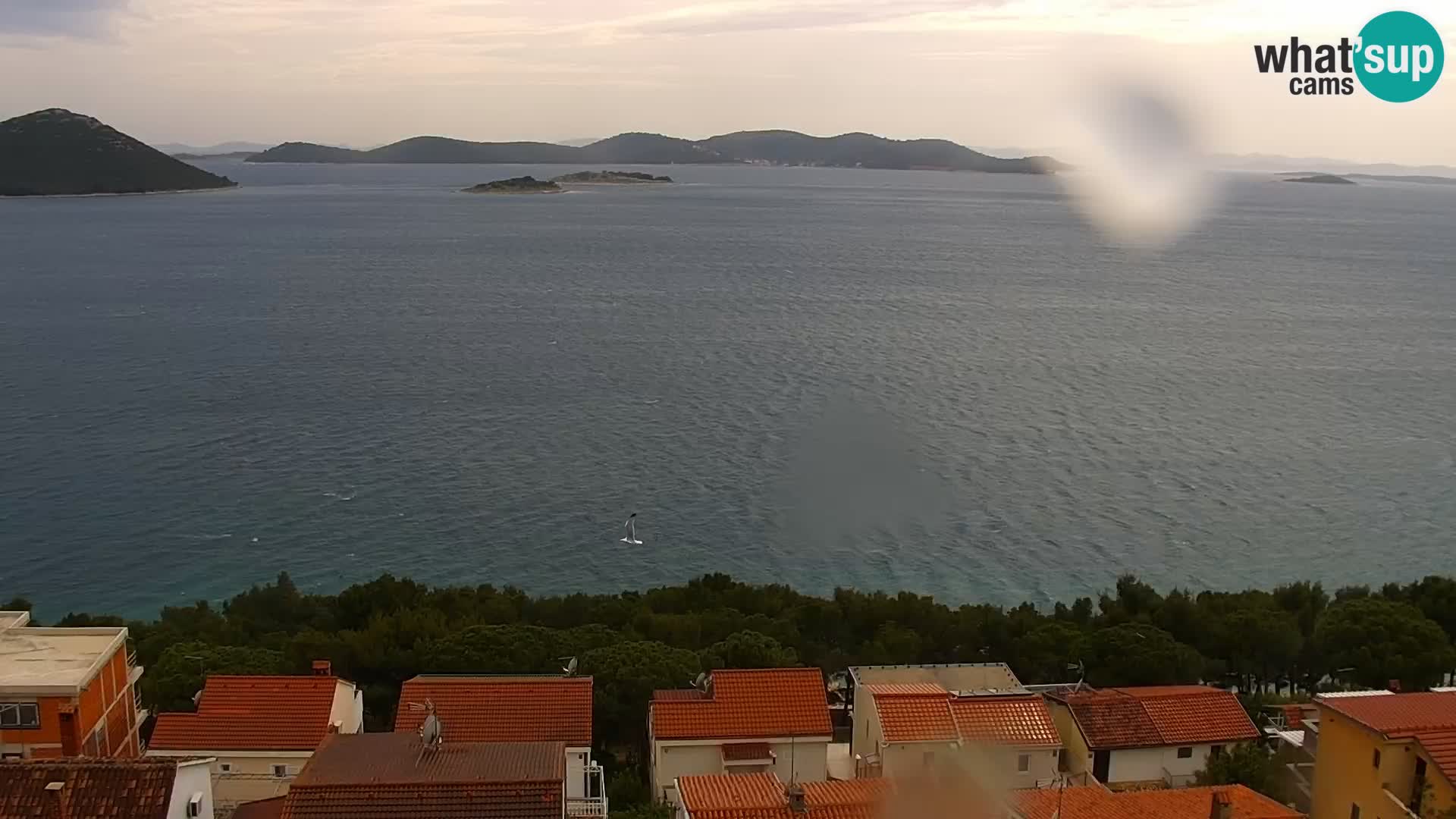 Webcam Drage – panorama view