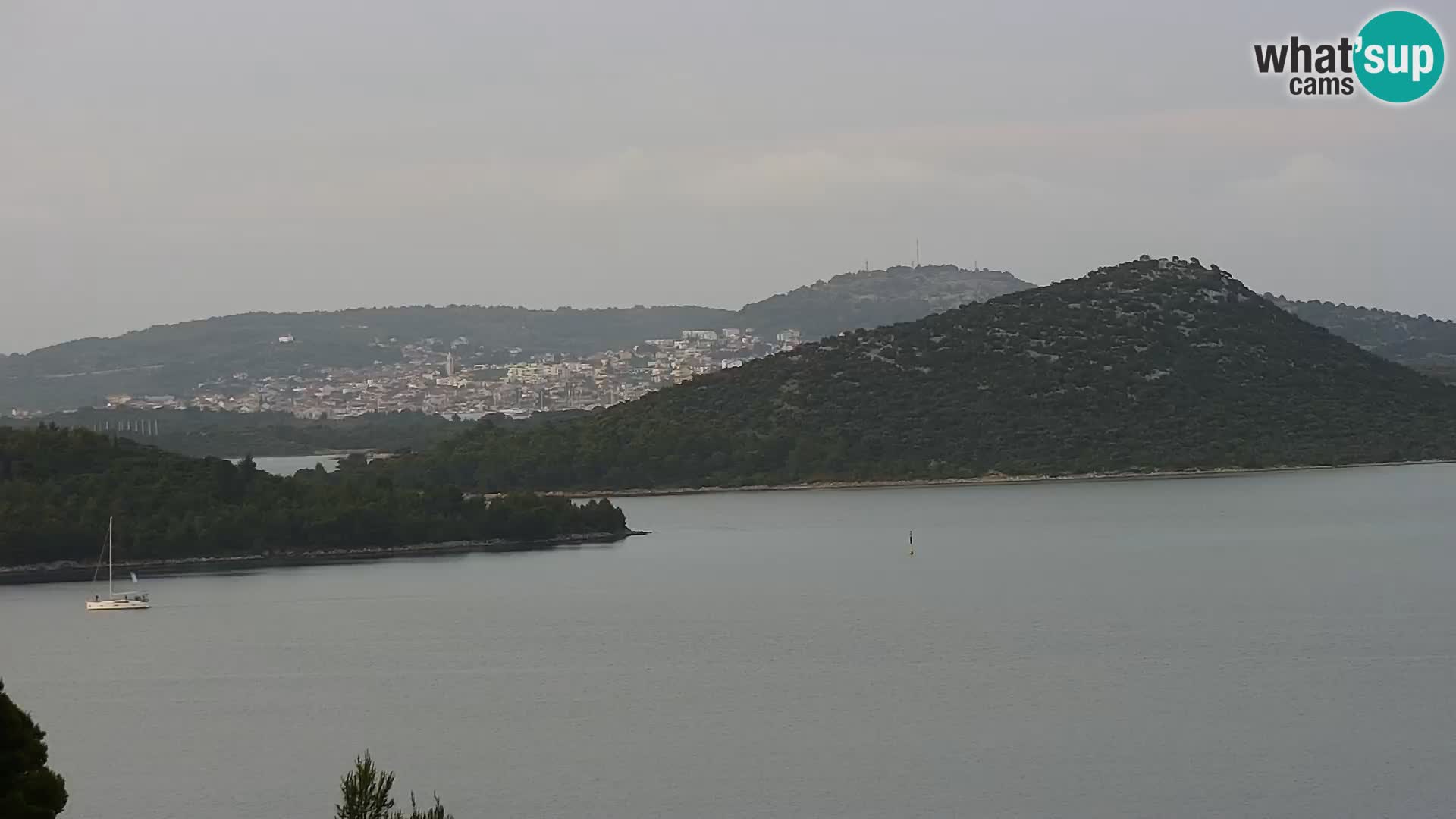 Camera en vivo Drage Croacia