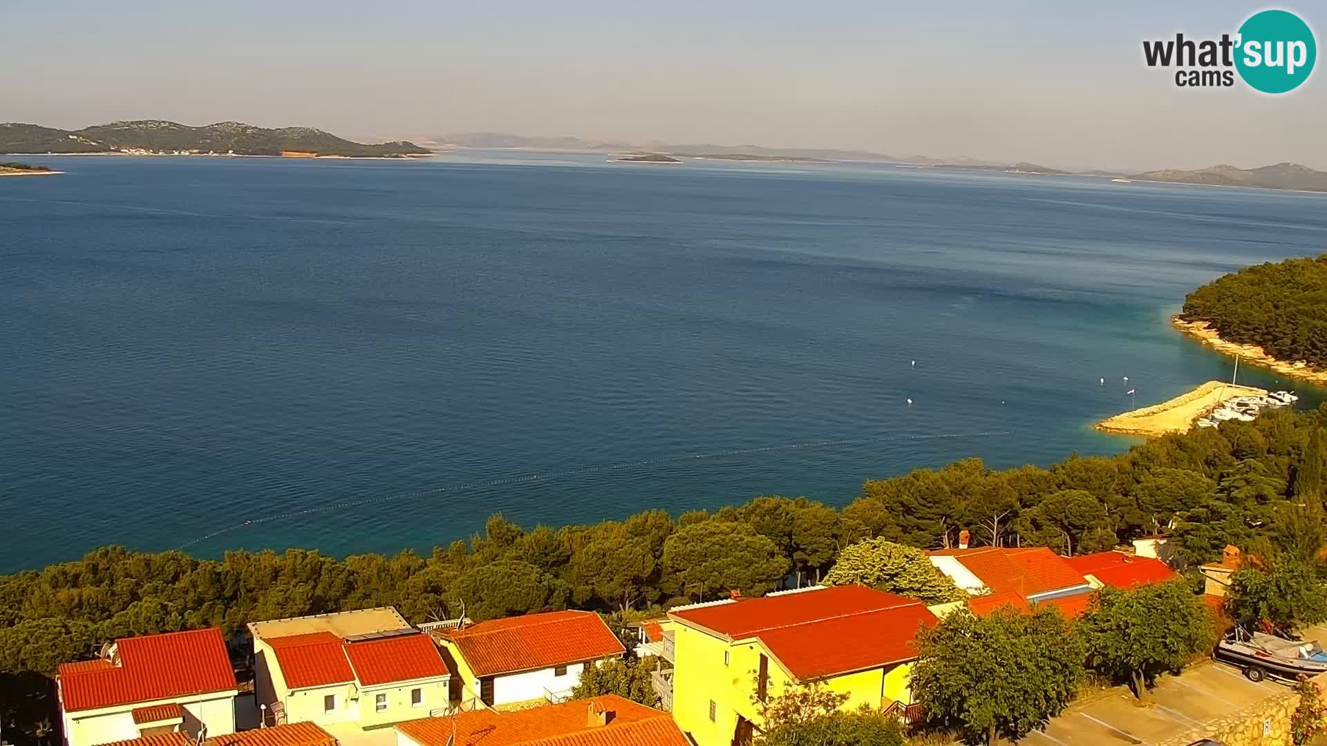 Camera en vivo Drage Croacia