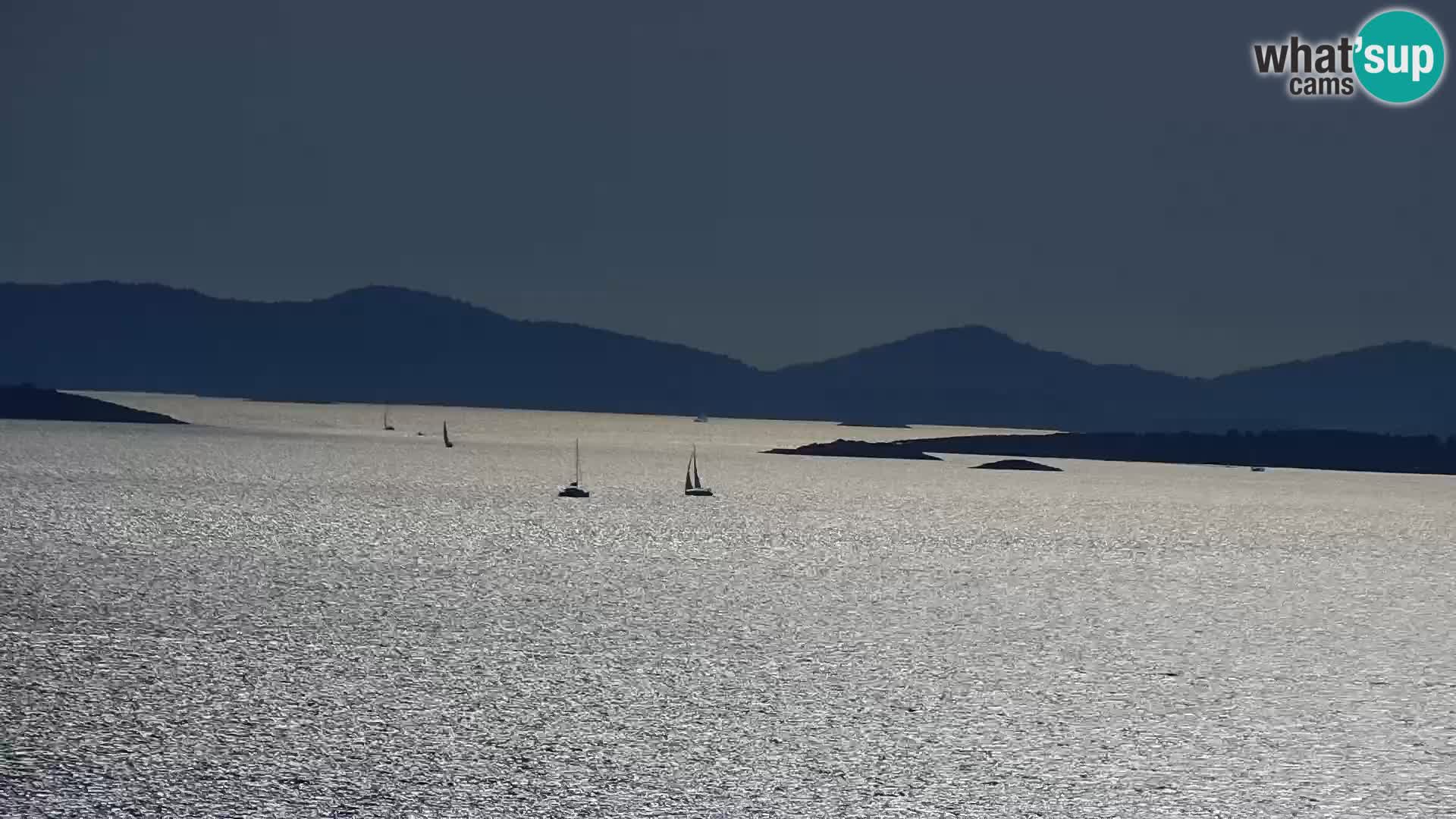Camera en vivo Drage Croacia