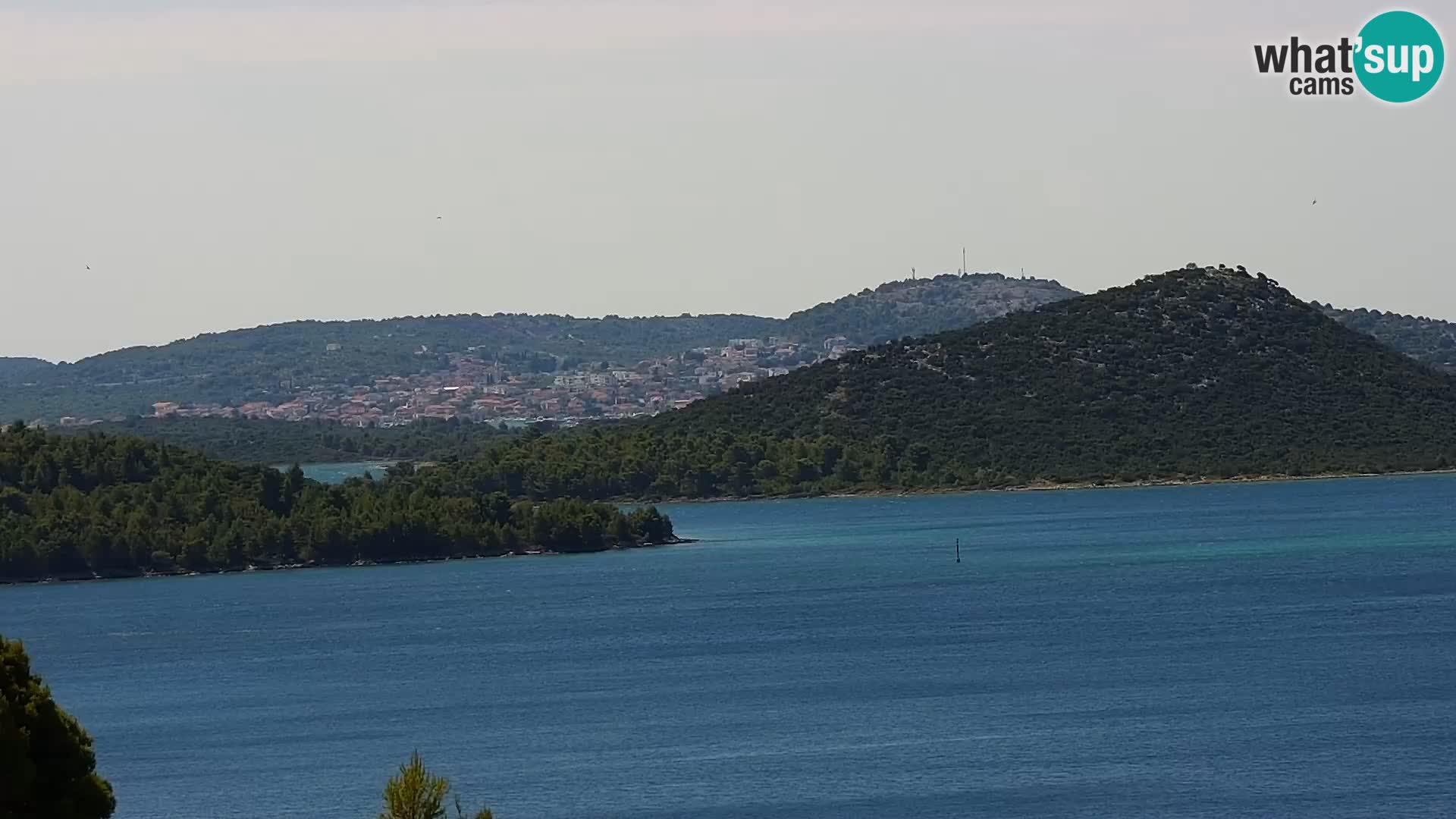 Webcam live Drage Dalmazia – panorama