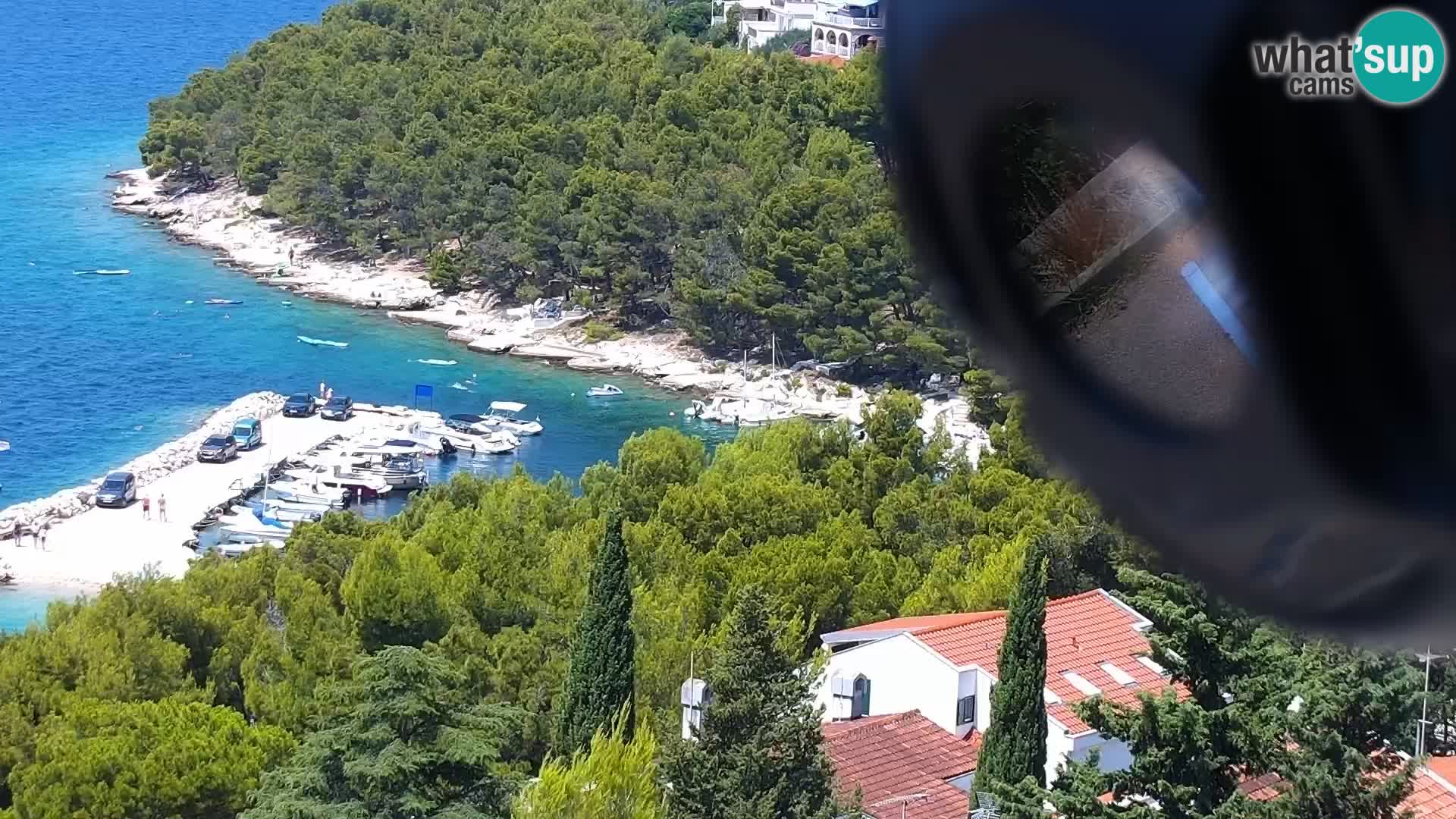 Kamera v živo Drage panorama