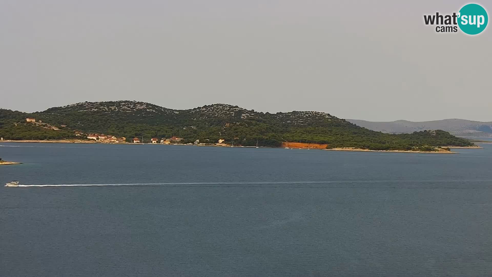 Camera en vivo Drage Croacia