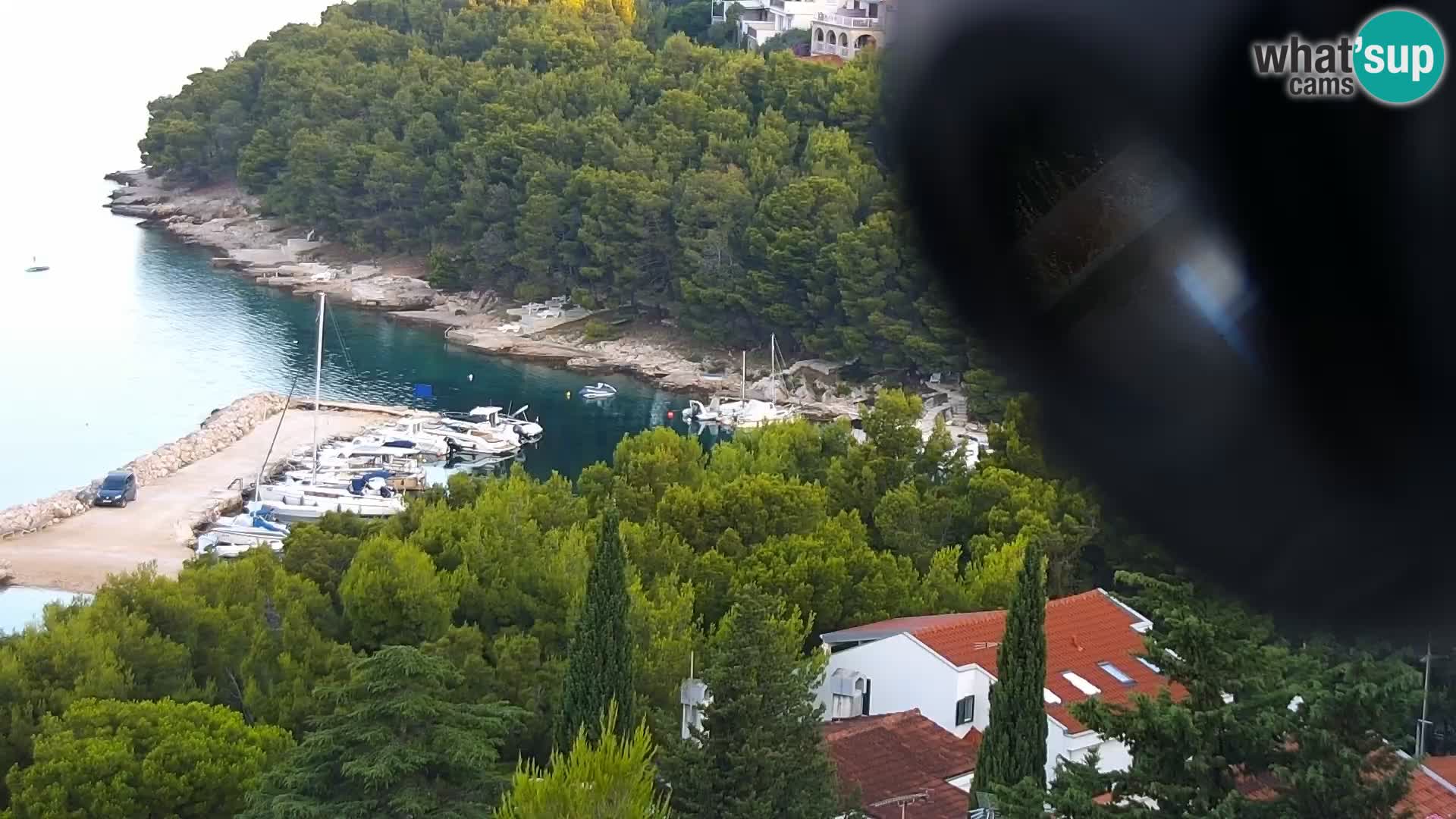 Livecam Drage – panorama Tripla “P”