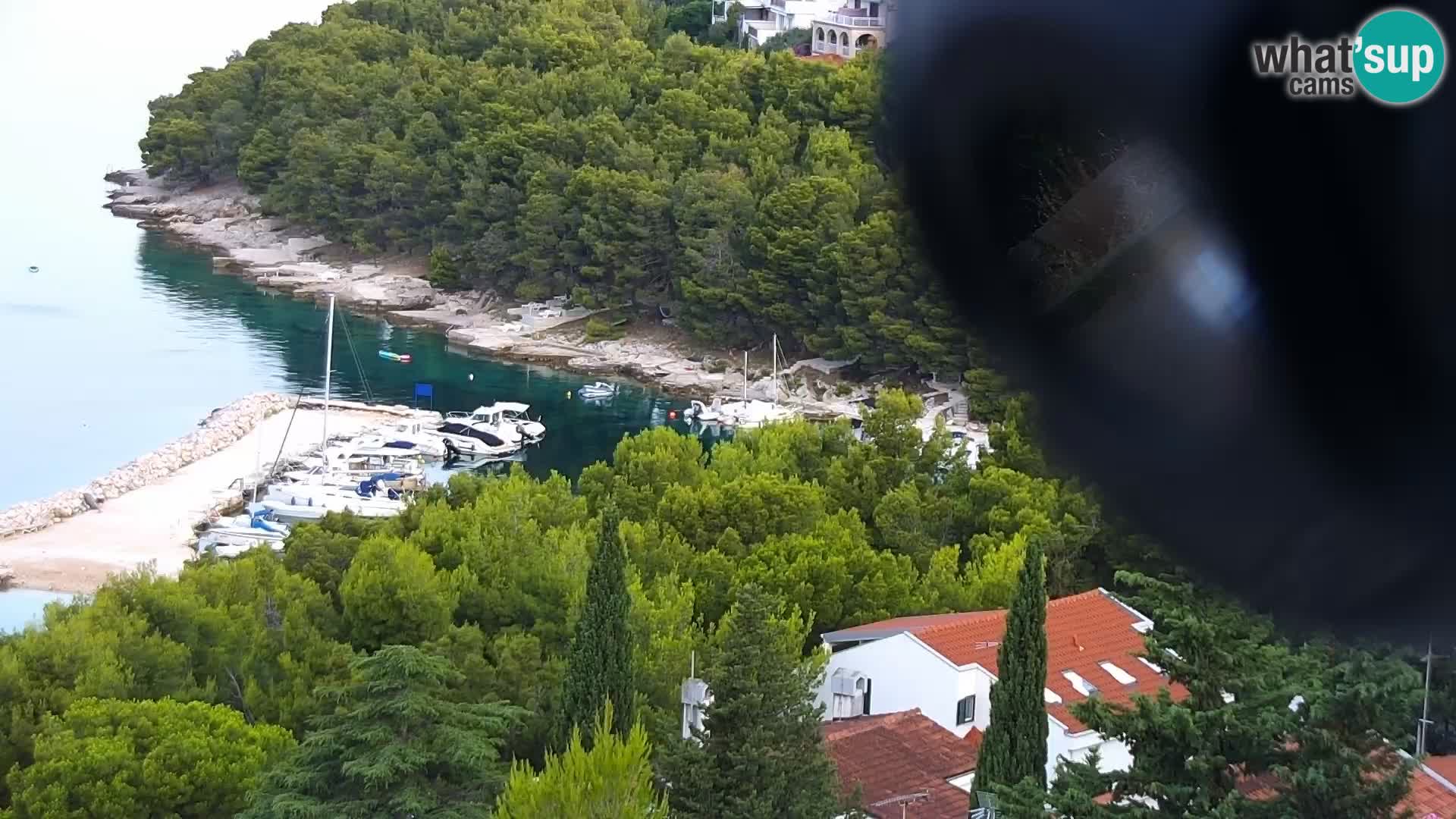 Webcam Drage – Dalmatien