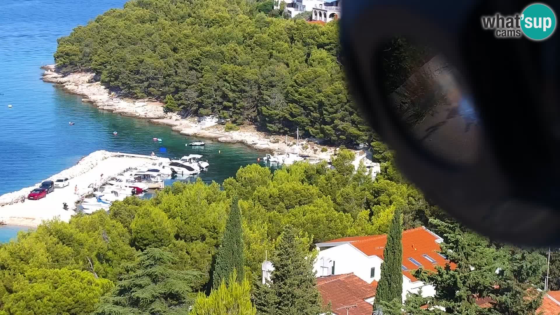 Camera en vivo Drage Croacia