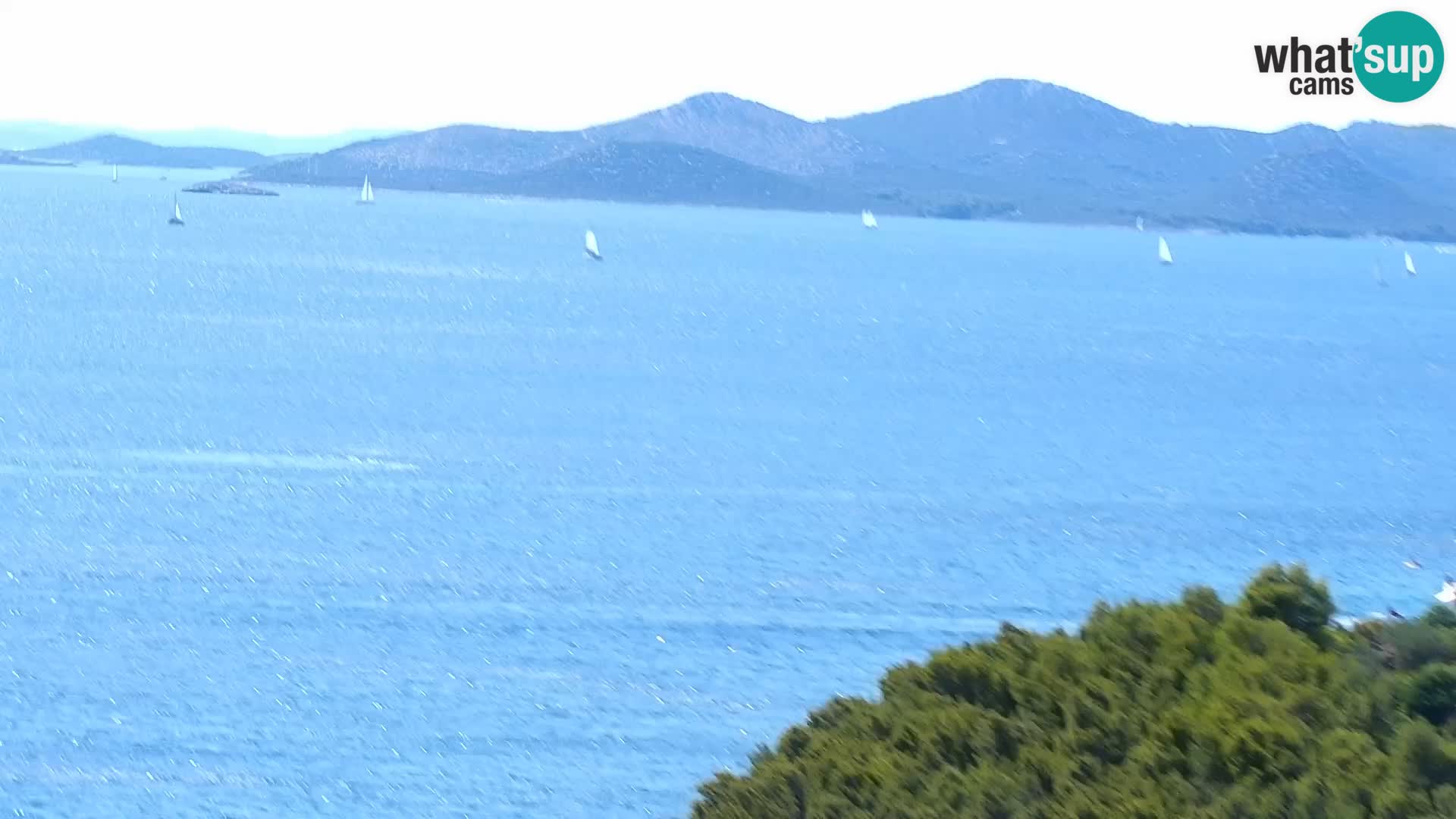 Camera en vivo Drage Croacia