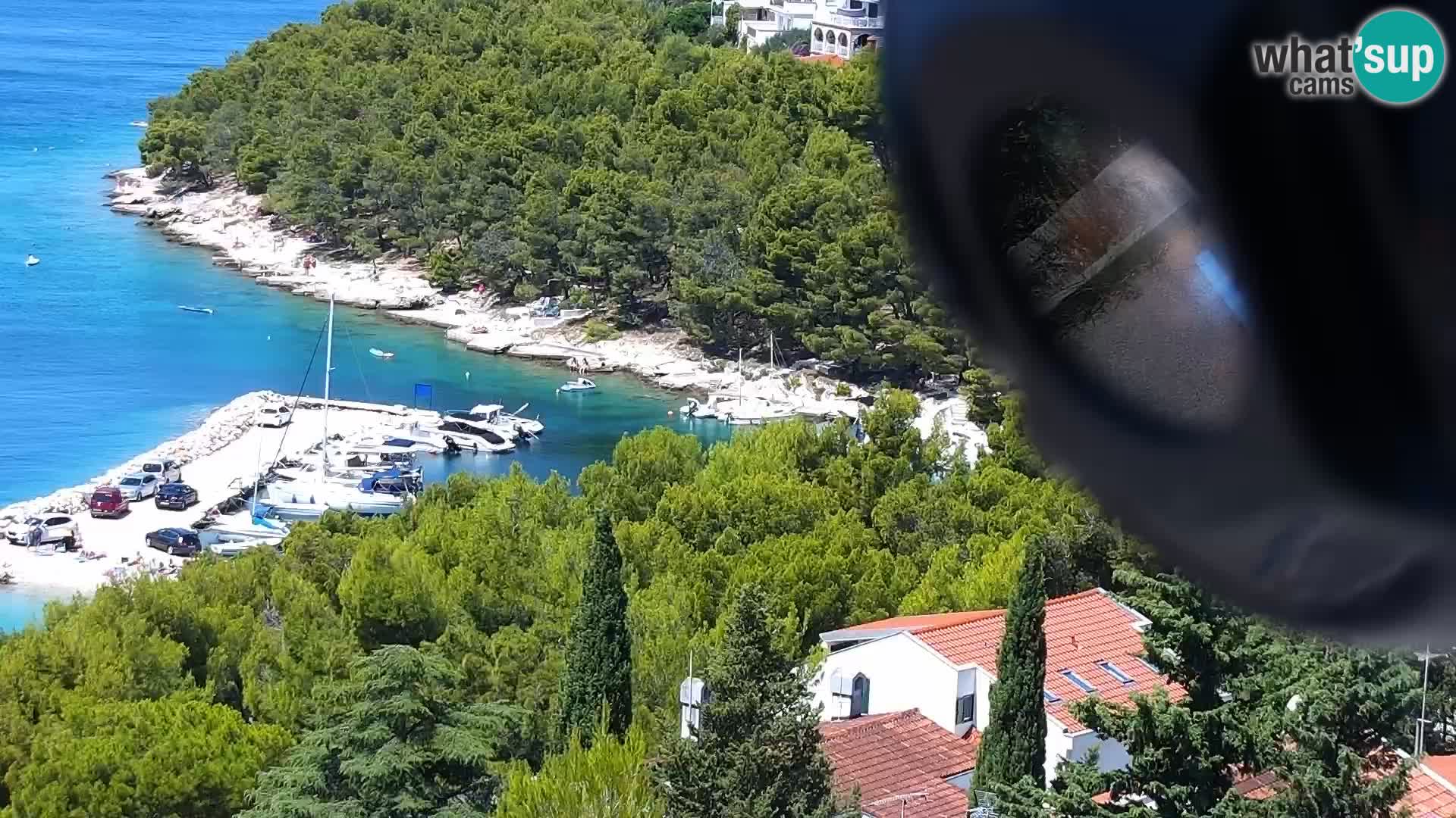 Kamera v živo Drage panorama