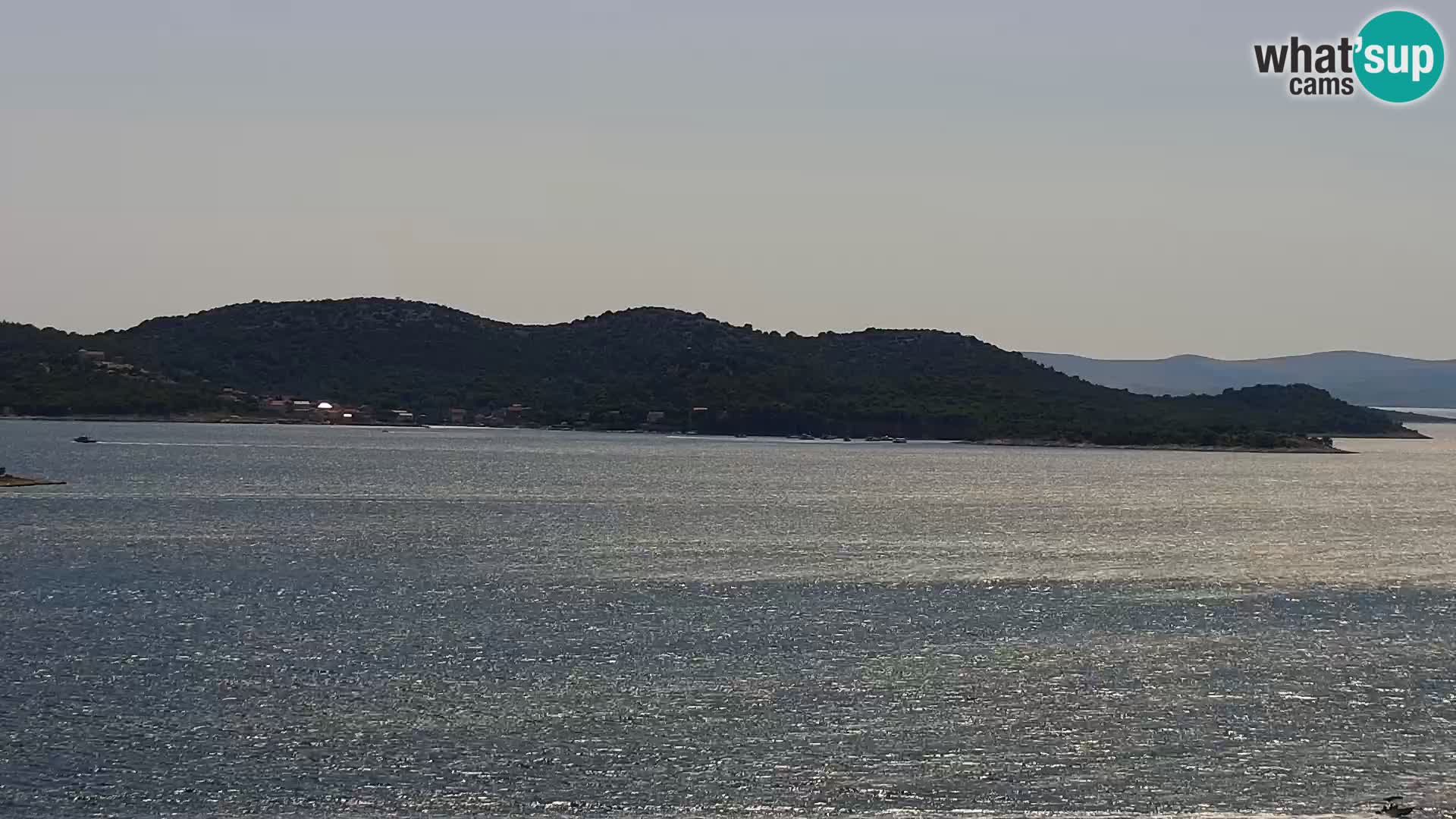 Camera en vivo Drage Croacia