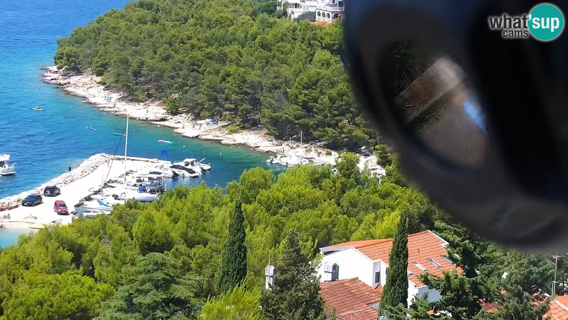 Camera en vivo Drage Croacia