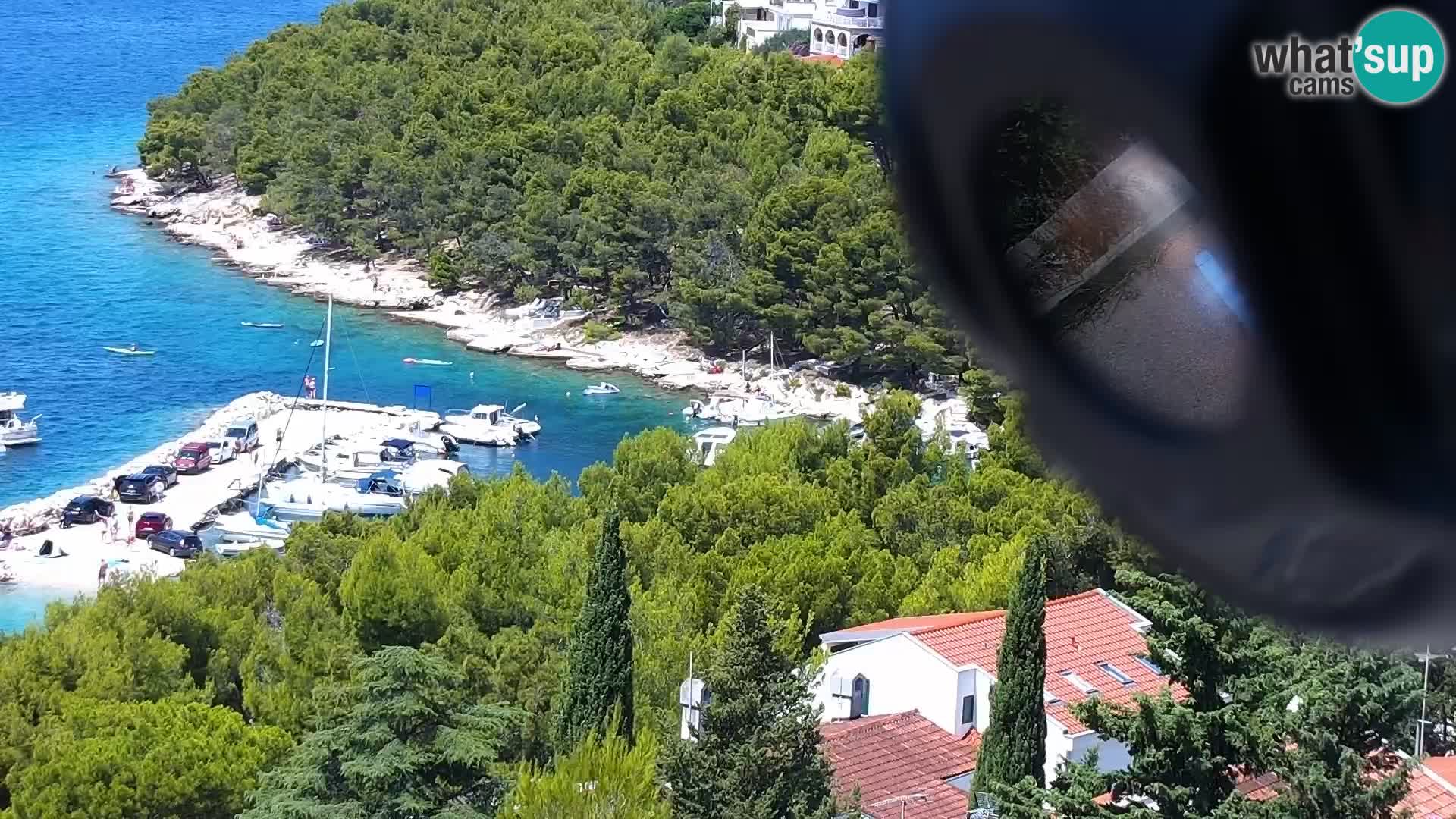 Livecam Drage – Croatien
