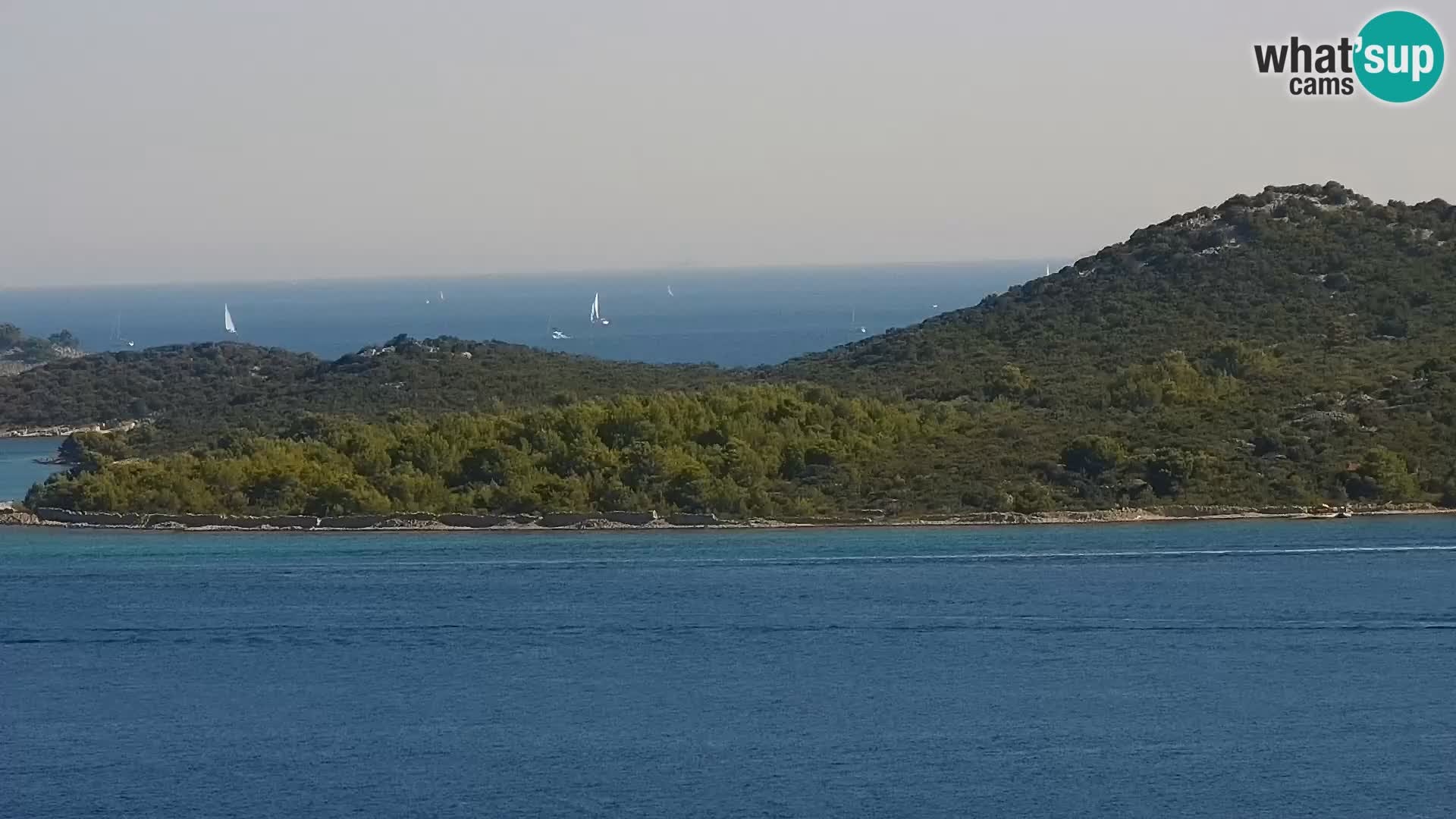 Camera en vivo Drage Croacia