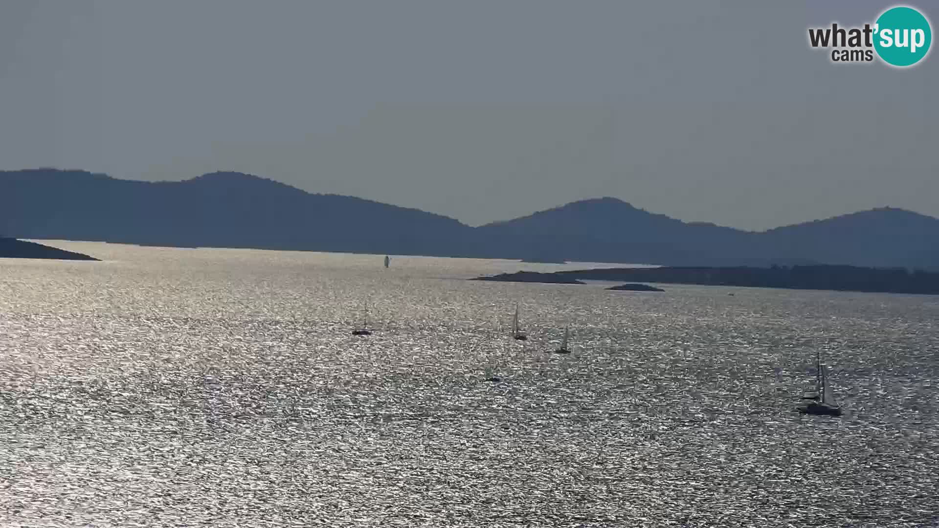 Camera en vivo Drage Croacia