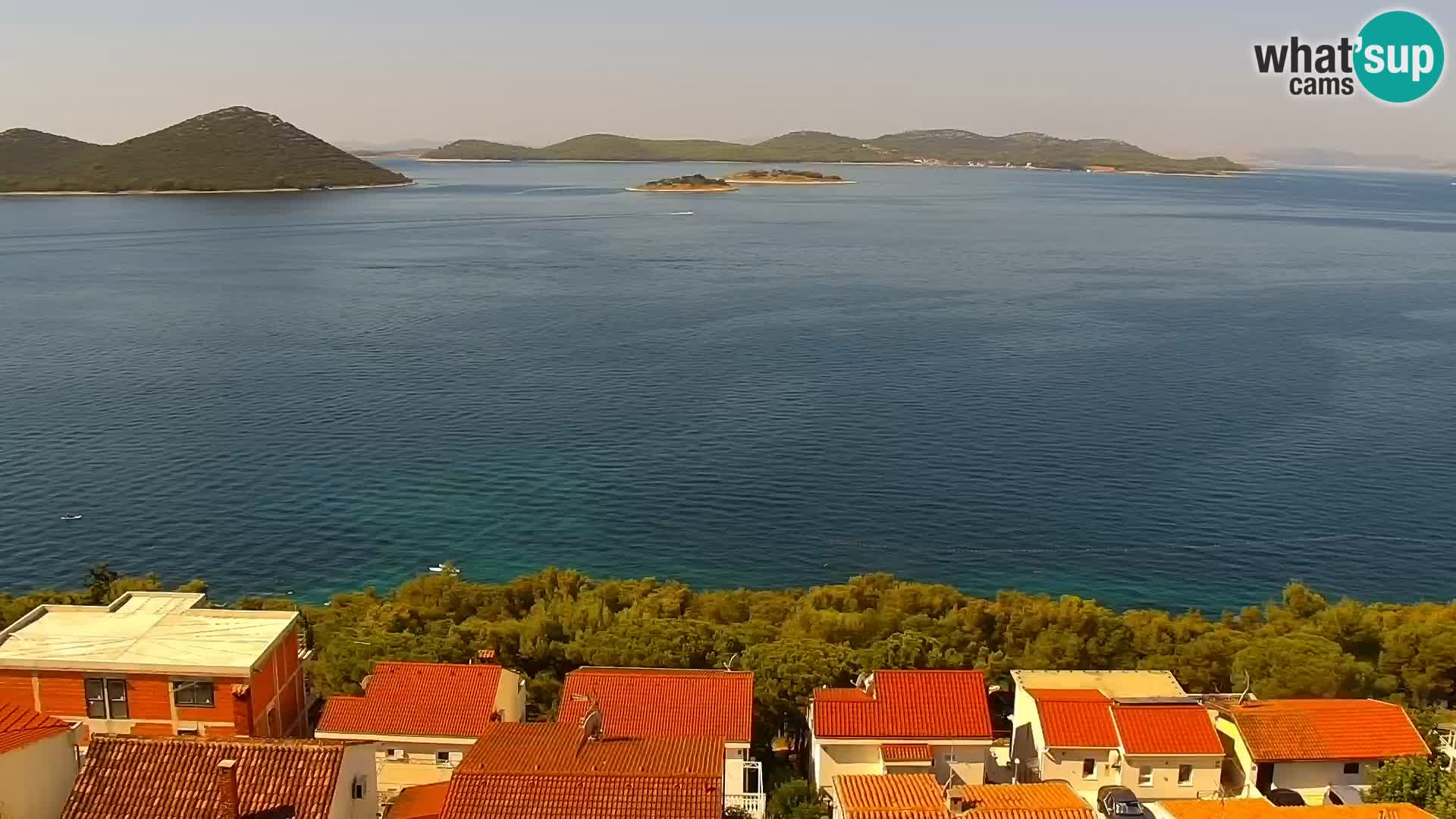 Camera en vivo Drage Croacia