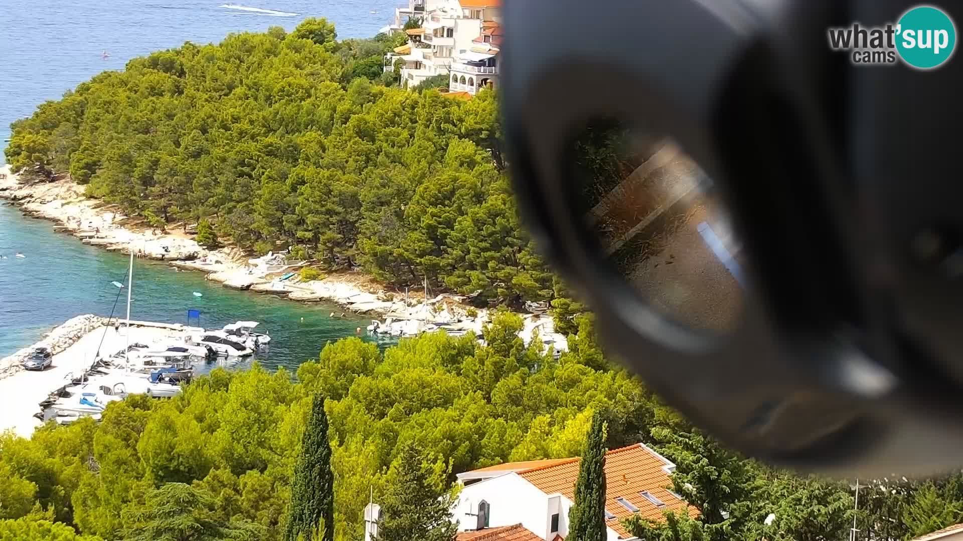 Camera en vivo Drage Croacia