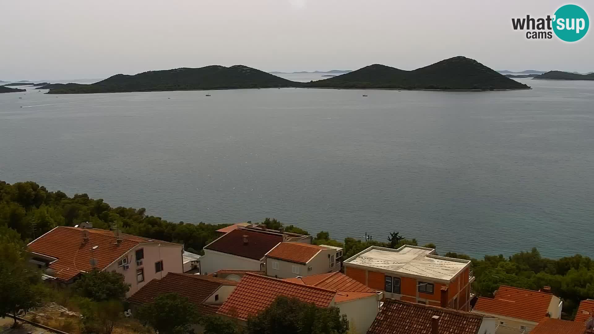 Camera en vivo Drage Croacia