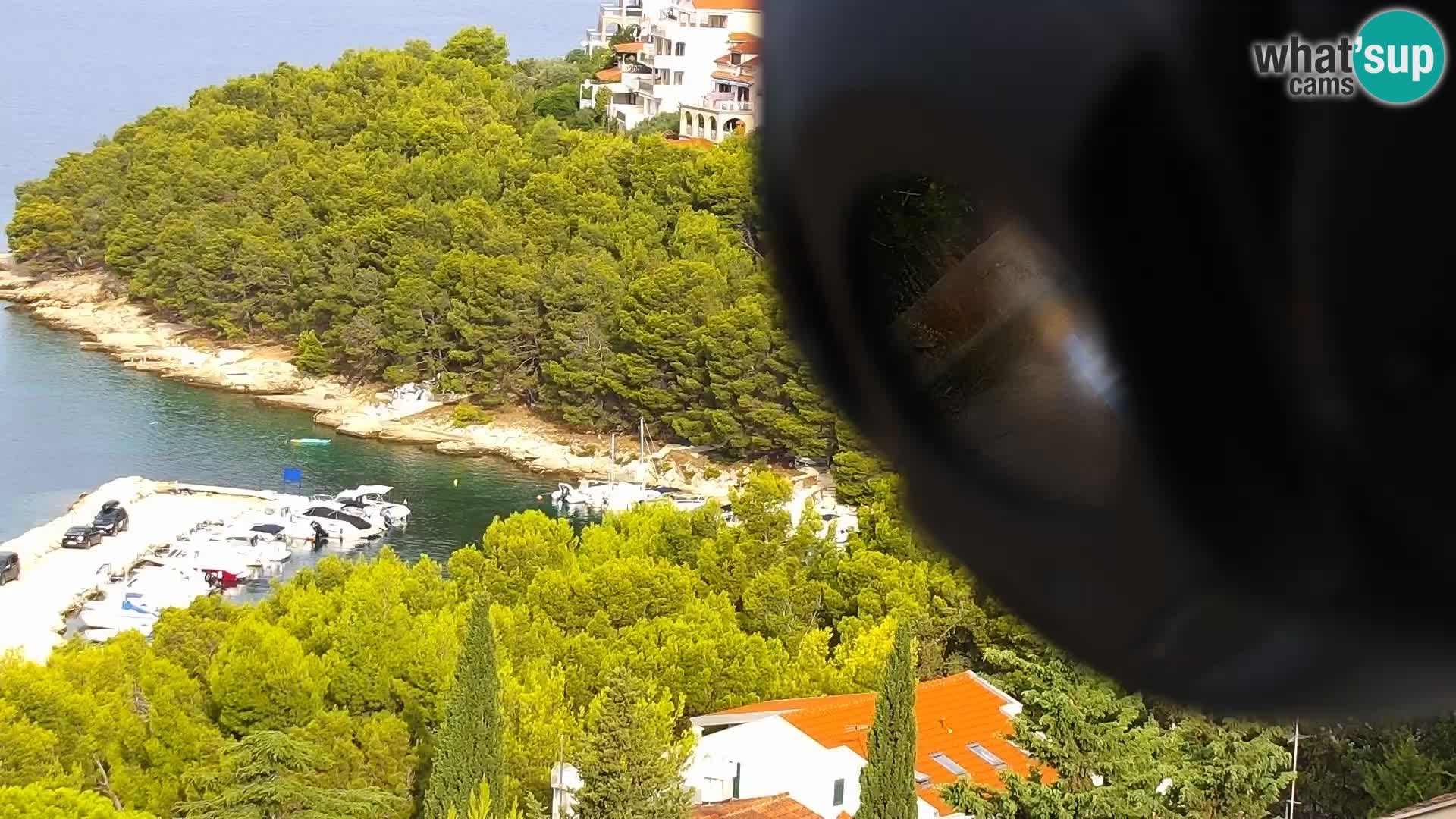 Camera en vivo Drage Croacia