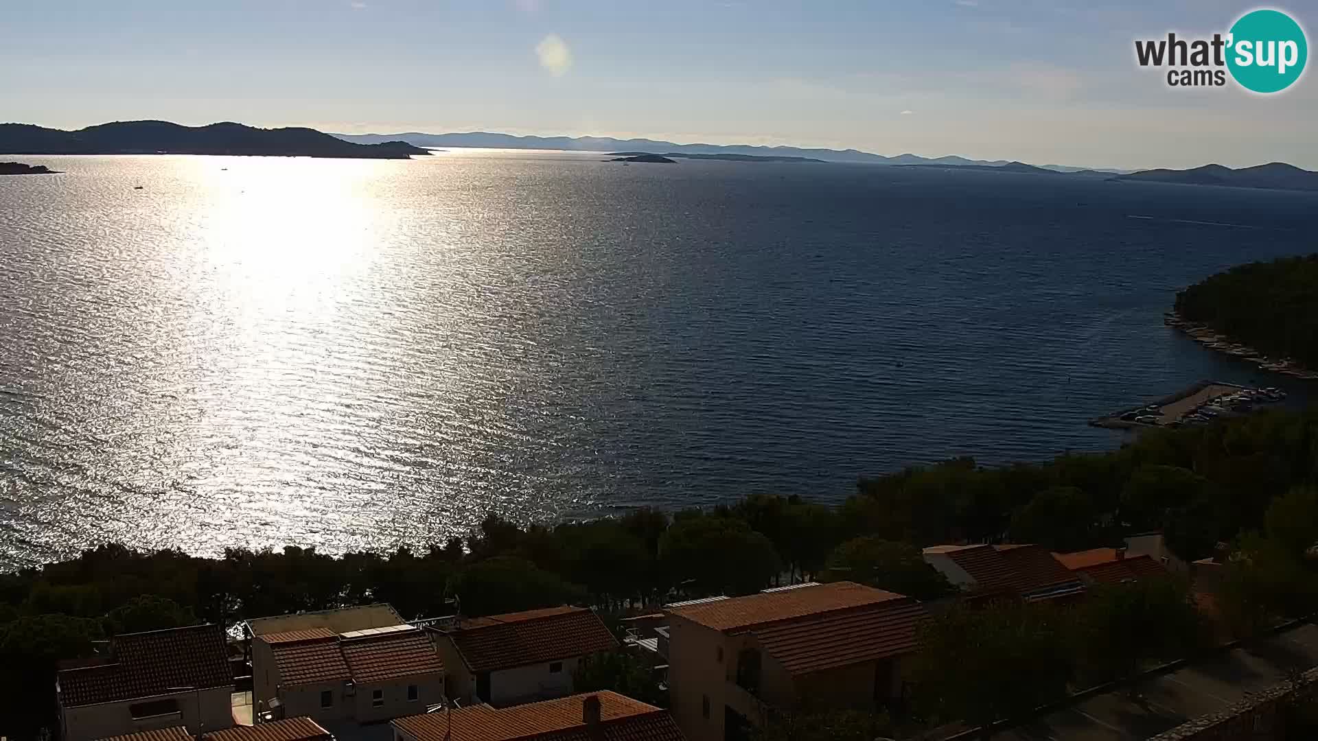 Camera en vivo Drage Croacia