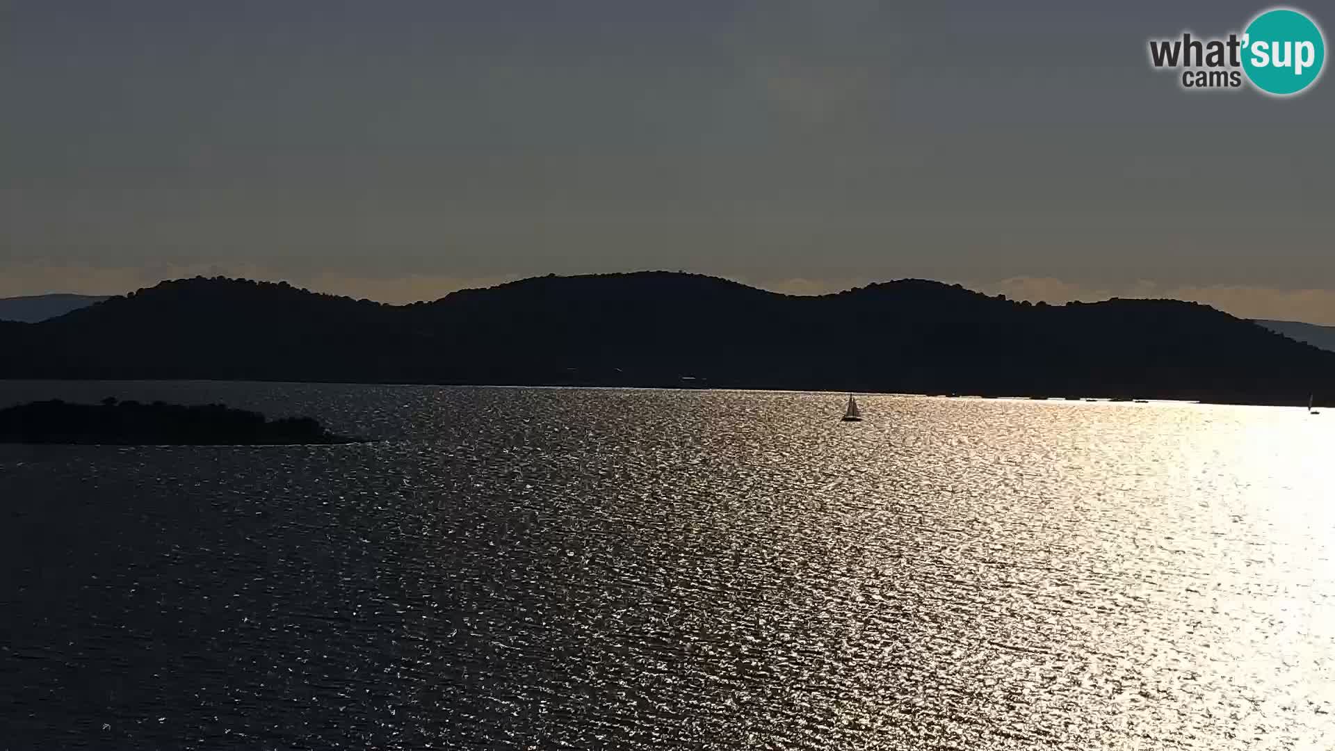 Camera en vivo Drage Croacia