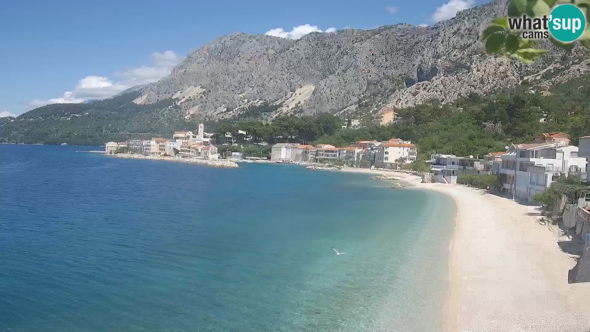 Webcam Drašnice (Podgora)  – Spiaggia