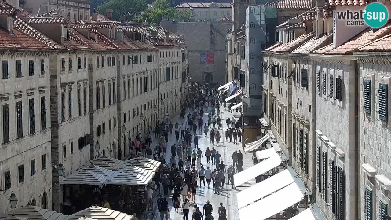 Live Webcam Dubrovnik Stradun