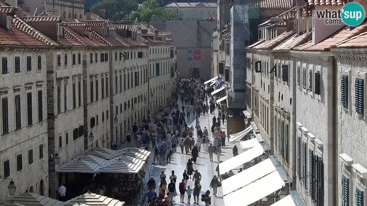 Livecam Dubrovnik Stradun