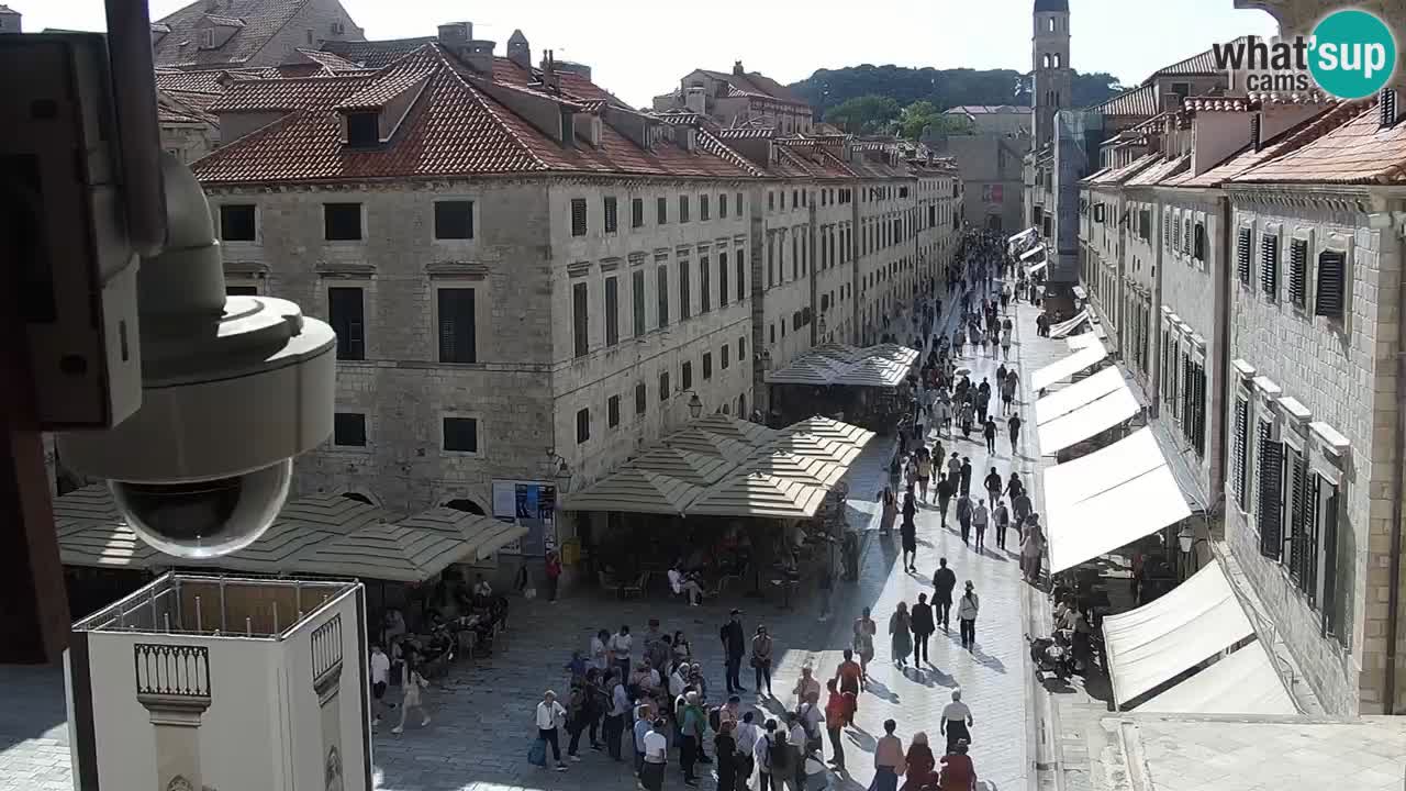 Livecam Dubrovnik Stradun