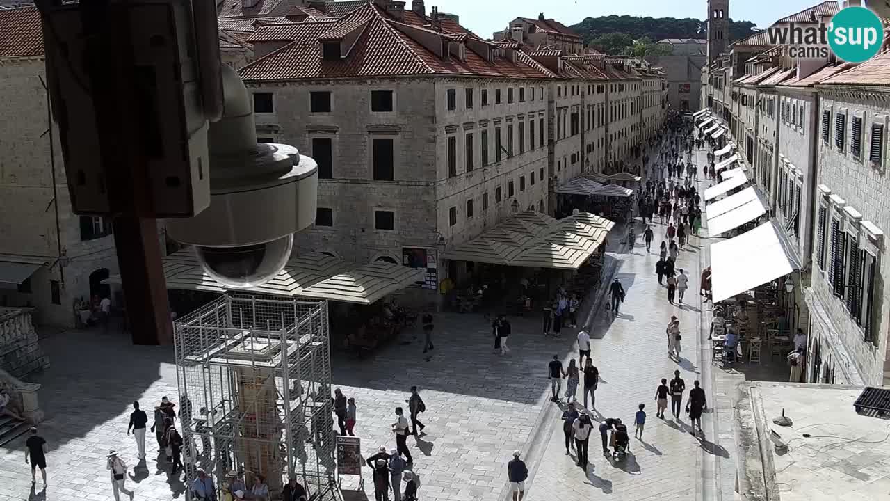 Live Webcam Dubrovnik Stradun