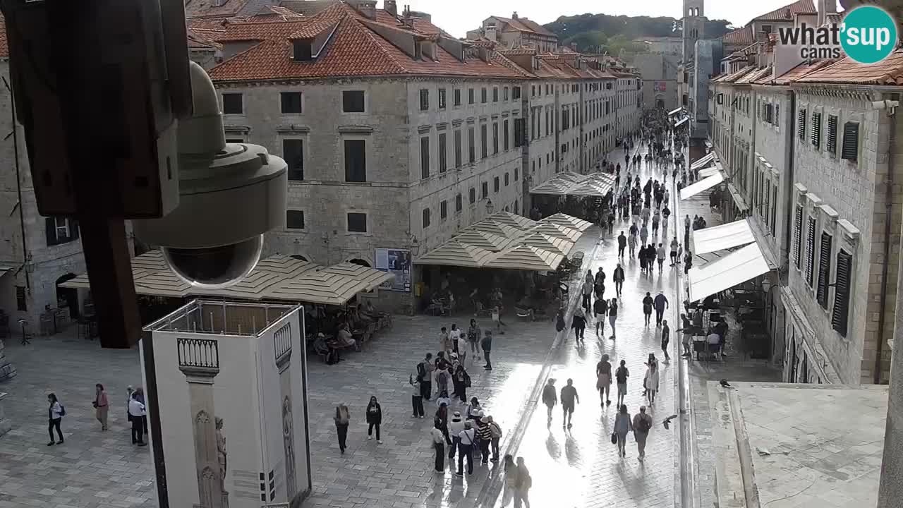 Livecam Dubrovnik Stradun