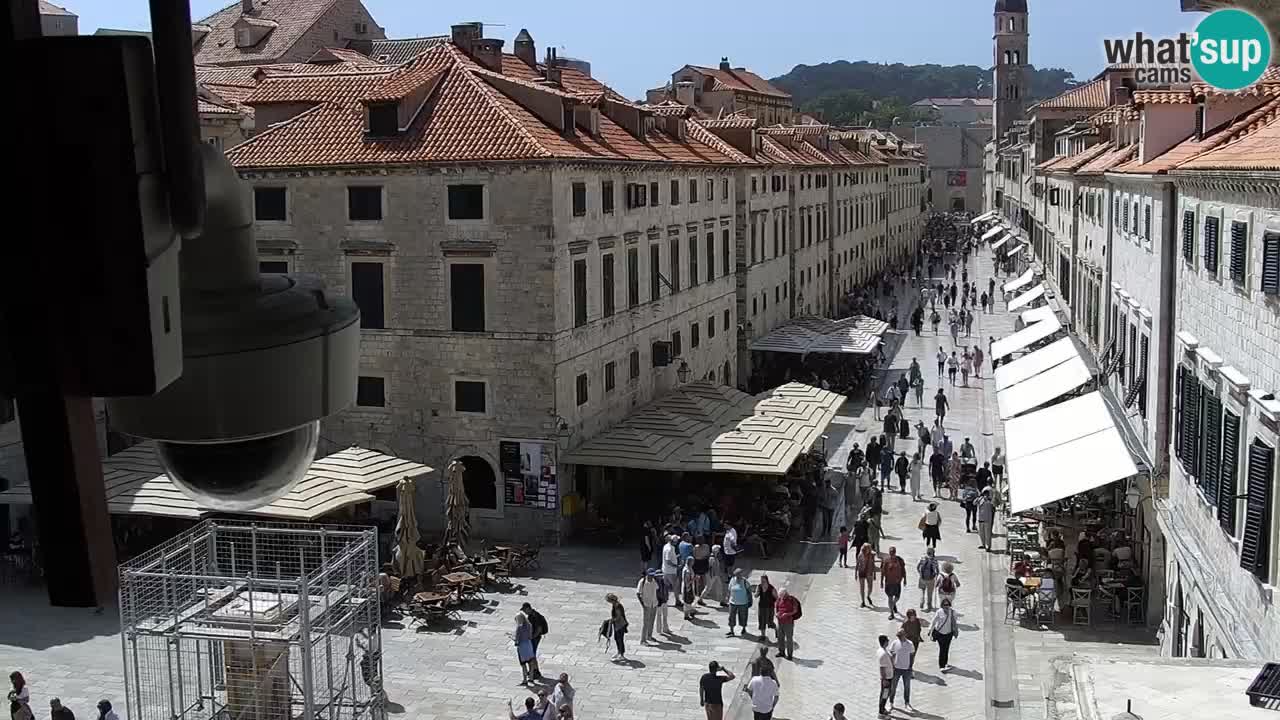 Camera en vivo Dubrovnik Stradun