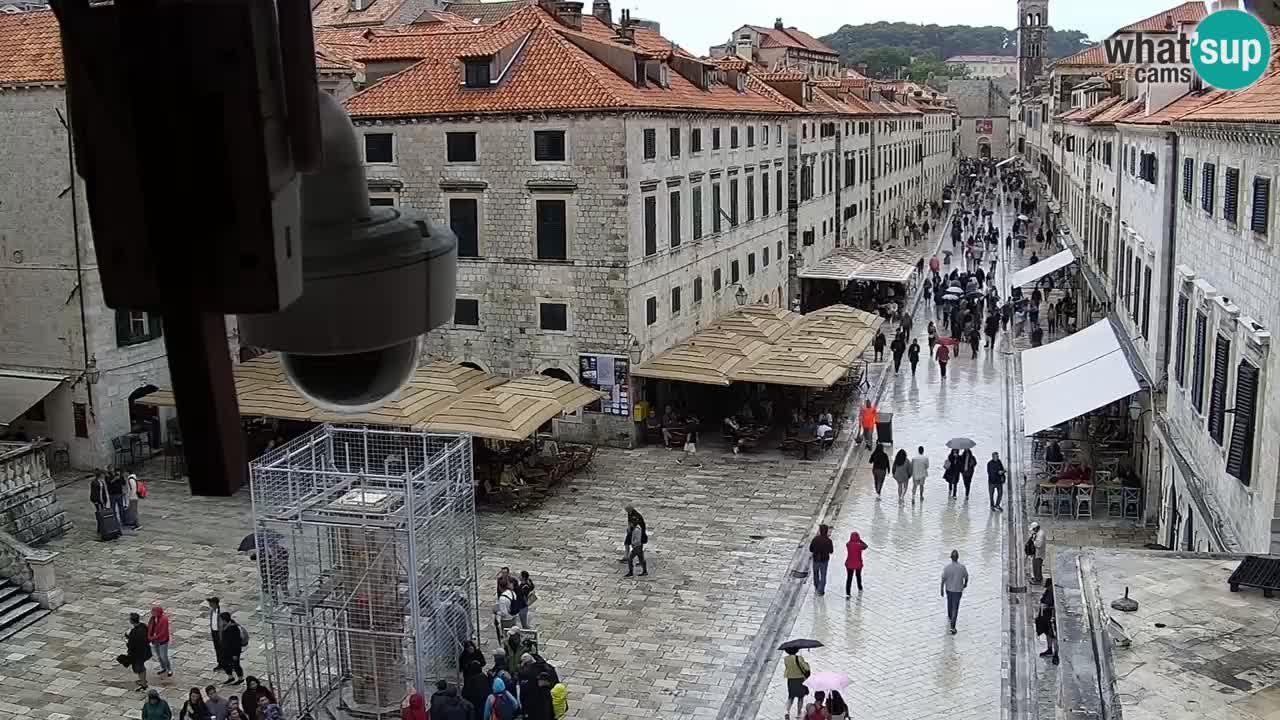 Live Webcam Dubrovnik Stradun