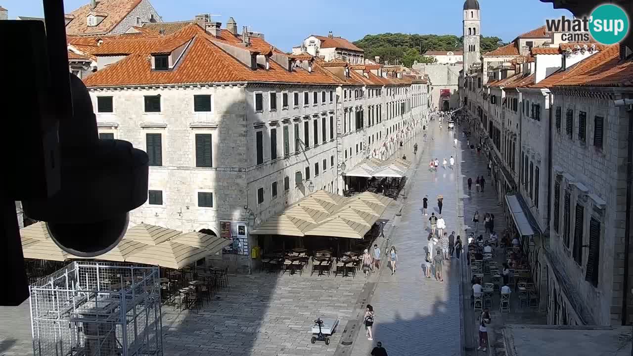 Live Webcam Dubrovnik Stradun