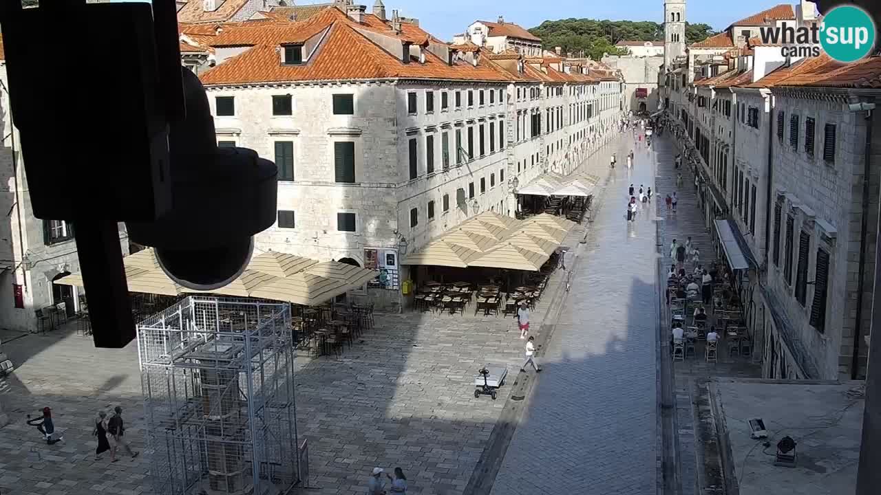 Live Webcam Dubrovnik Stradun