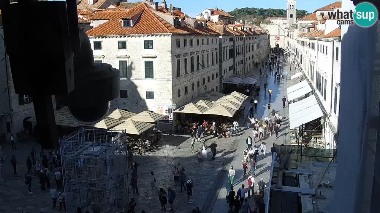 Live Webcam Dubrovnik Stradun