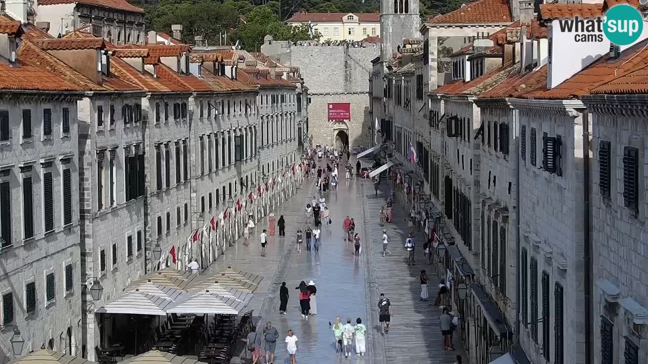 Live Webcam Dubrovnik Stradun