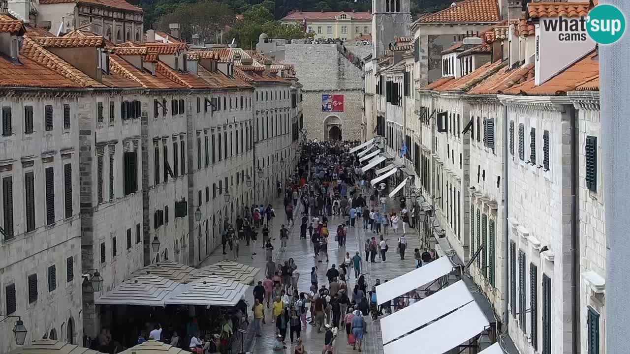 Webcam Ragusa (Dubrovnik) Stradun