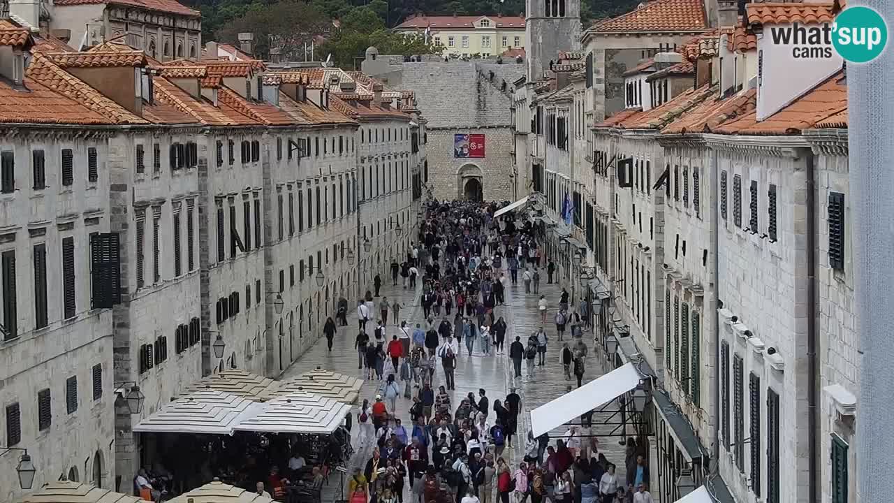 Camera en vivo Dubrovnik Stradun