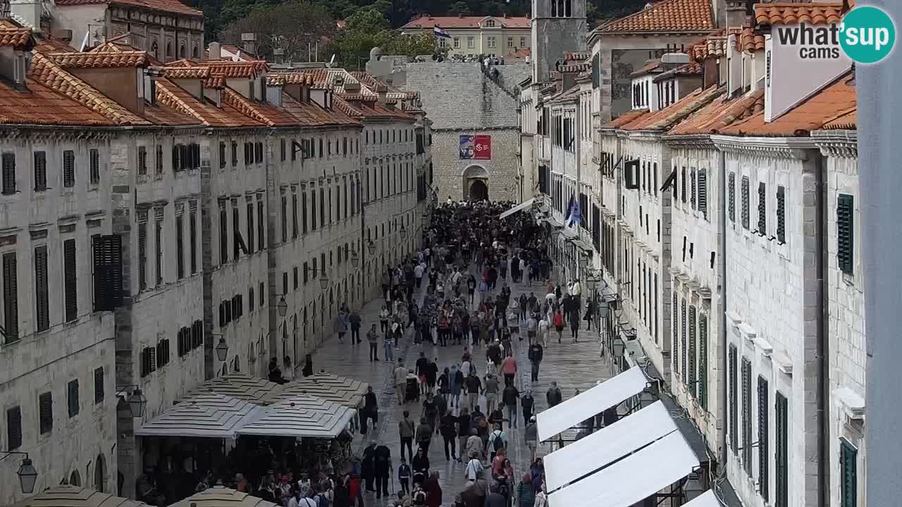 Webcam Ragusa (Dubrovnik) Stradun