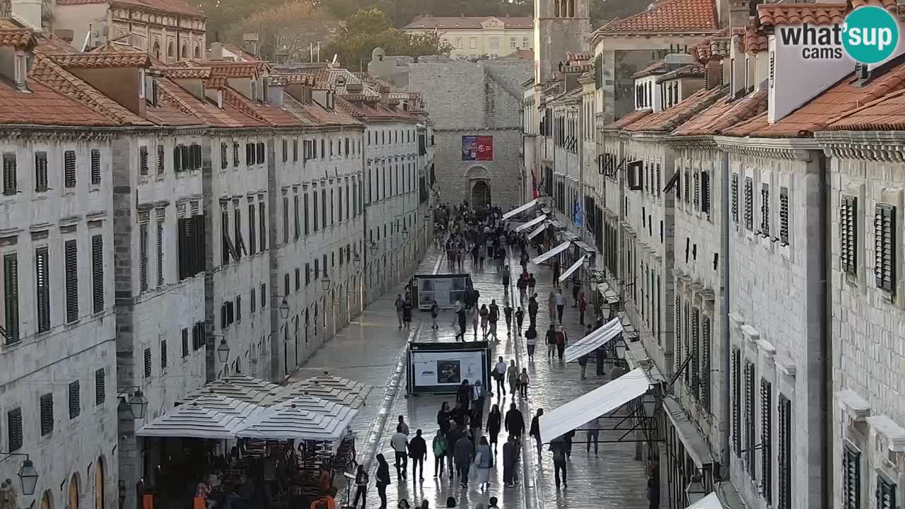 Livecam Dubrovnik Stradun