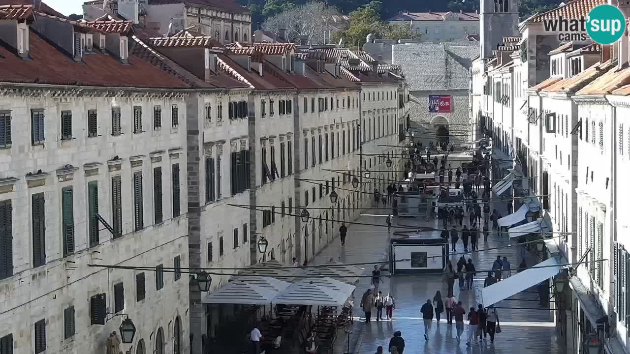 Camera en vivo Dubrovnik Stradun