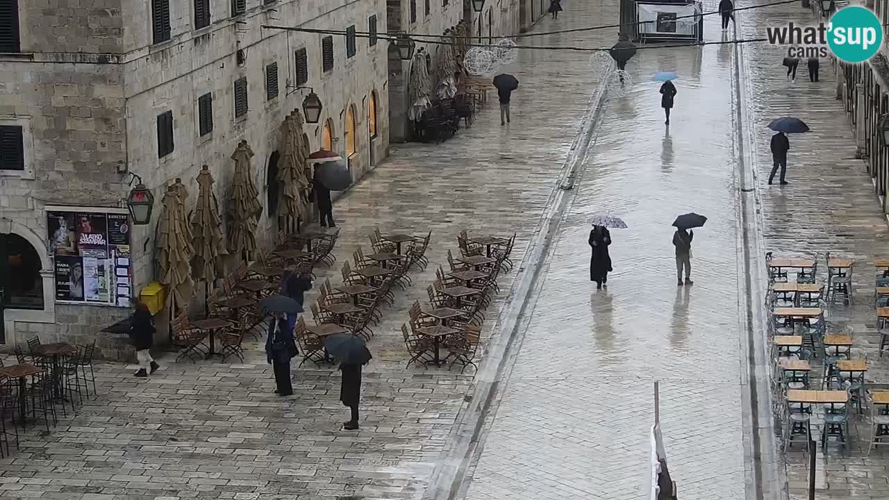 Livecam Dubrovnik Stradun