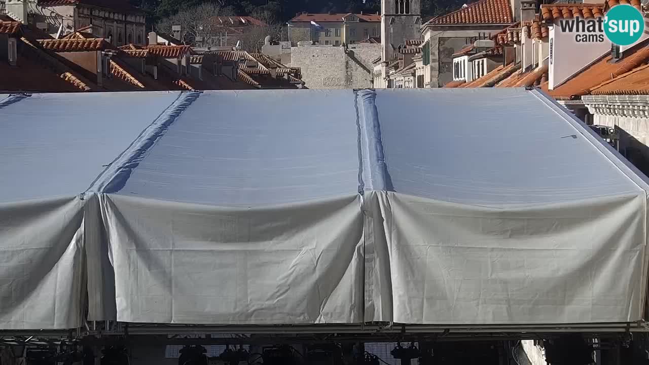 Livecam Dubrovnik Stradun